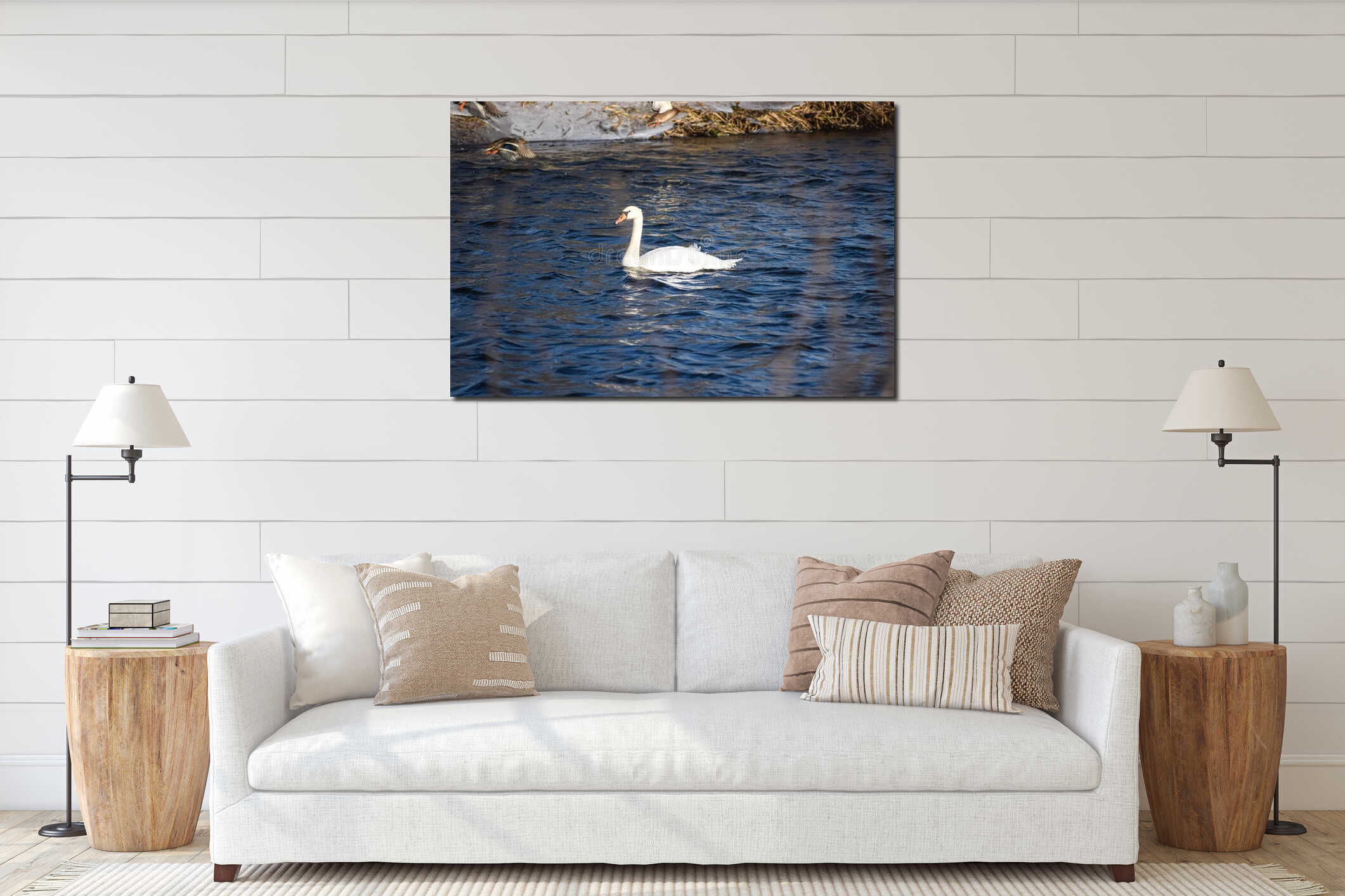 Majestic white swan glides gracefully across a dark, rippling river with ducks flying nearby interior mockup