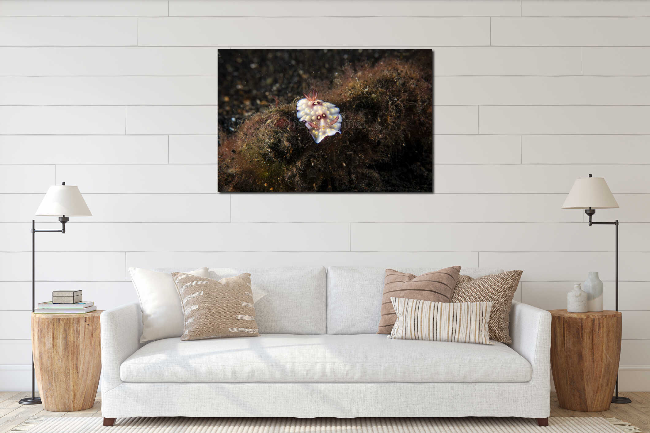 Underwater close up macro photography of colorful nudibranch at sea floor marine life in SCUBA diving in Indonesia interior mockup