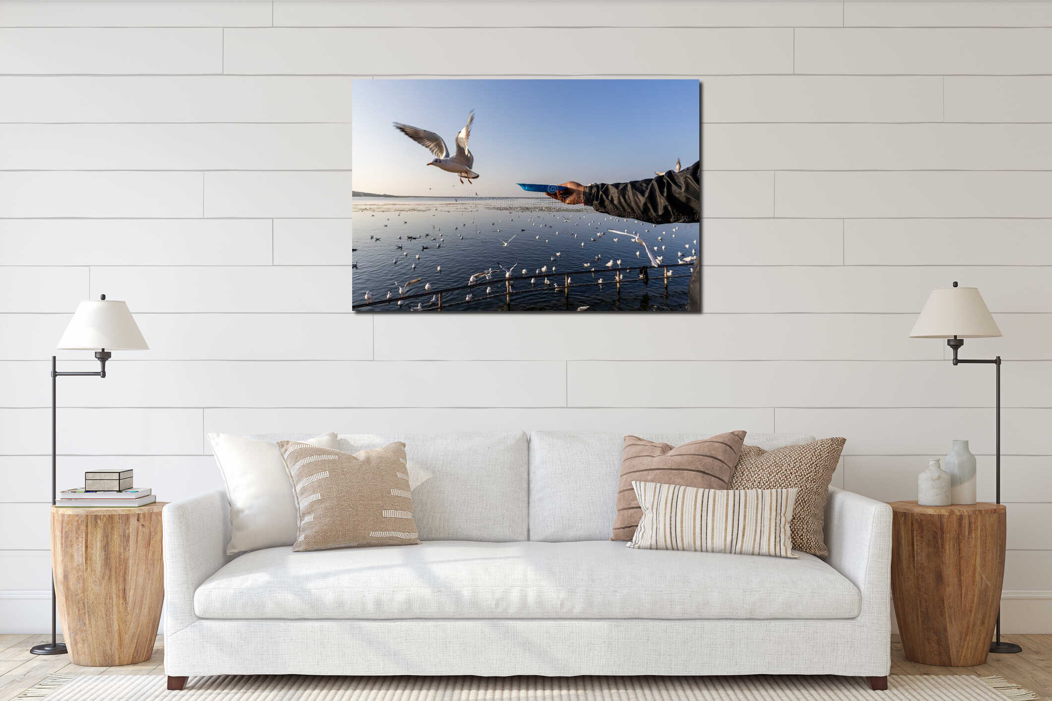 person hand feeding seagull bird over calm coastal water with flock in background interior mockup