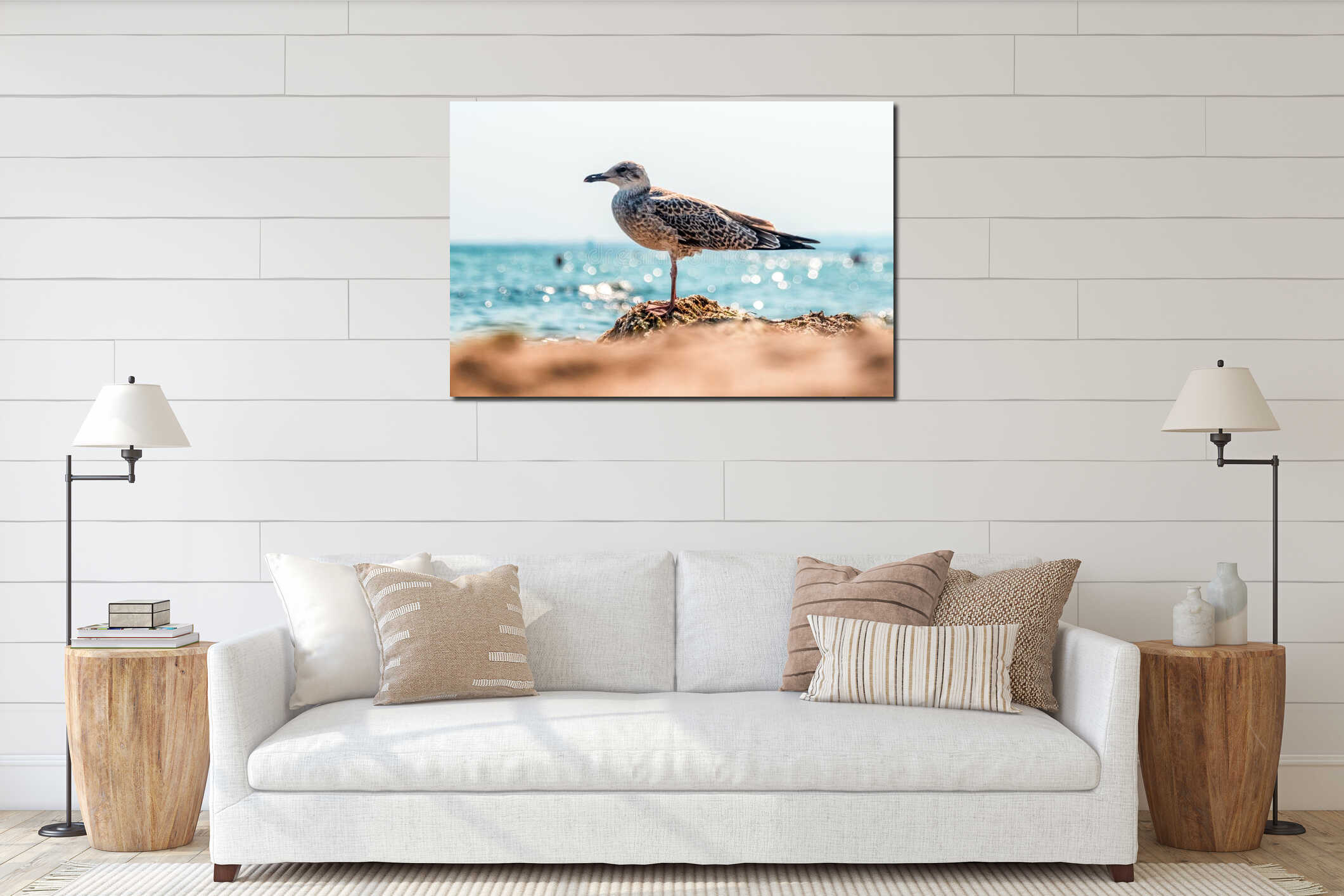 Seagull standing on rock by sea with sparkling water in background wildlife coastal scene interior mockup
