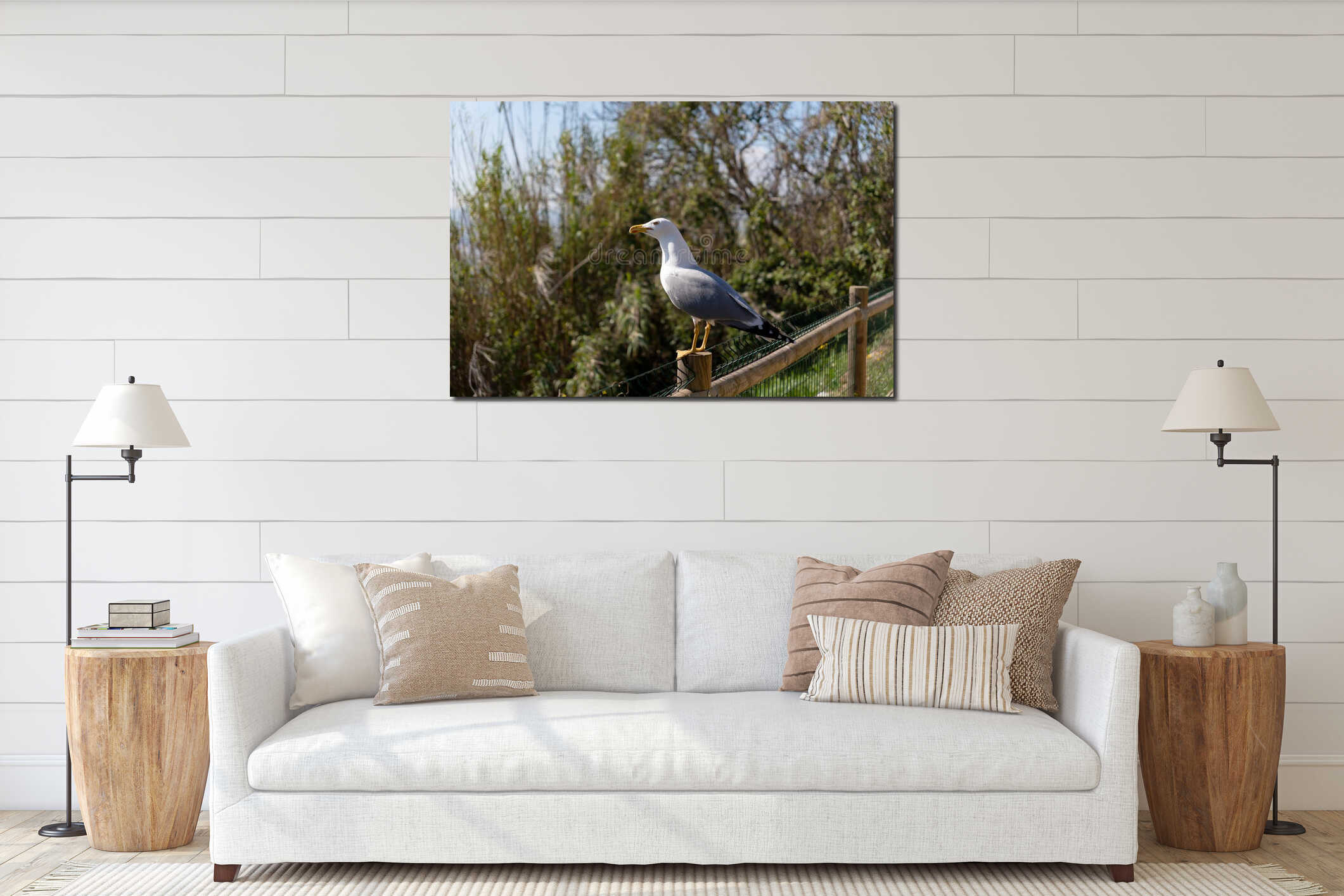 Seagull perched on wooden fence in sunlight interior mockup