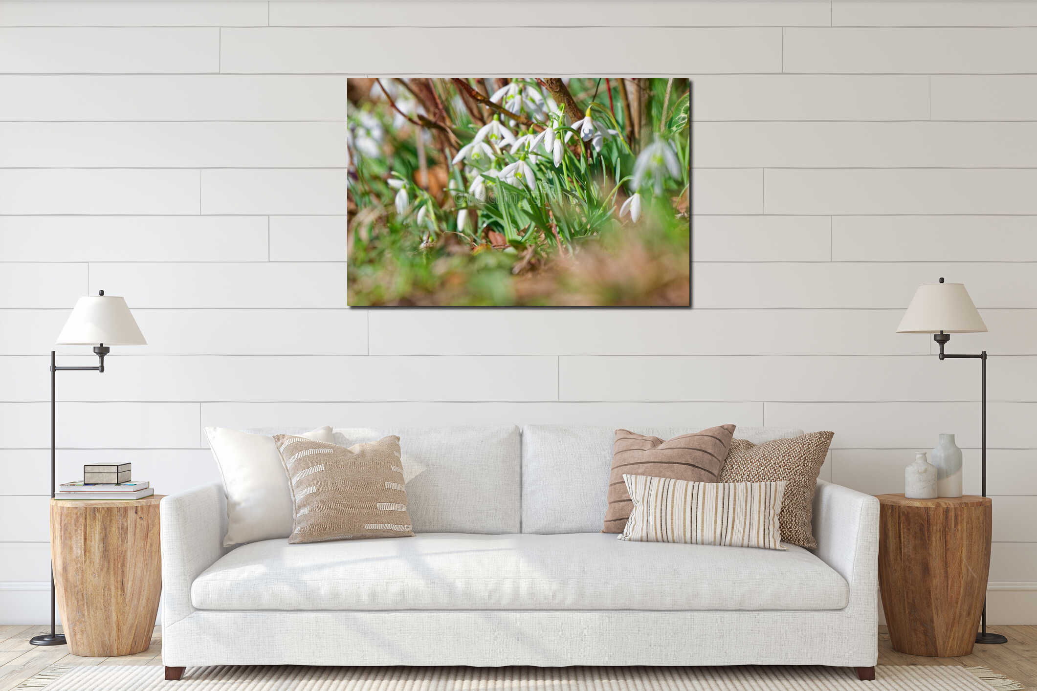 White snowdrops blooming in bright spring sunlight with soft natural bokeh interior mockup