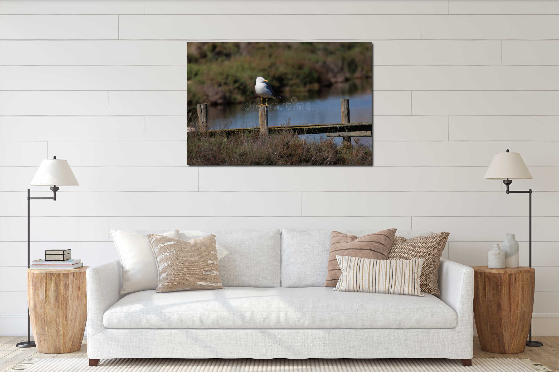 Adult Yellow legged Gull Perched on Wooden Fence in Wetland Environment interior mockup