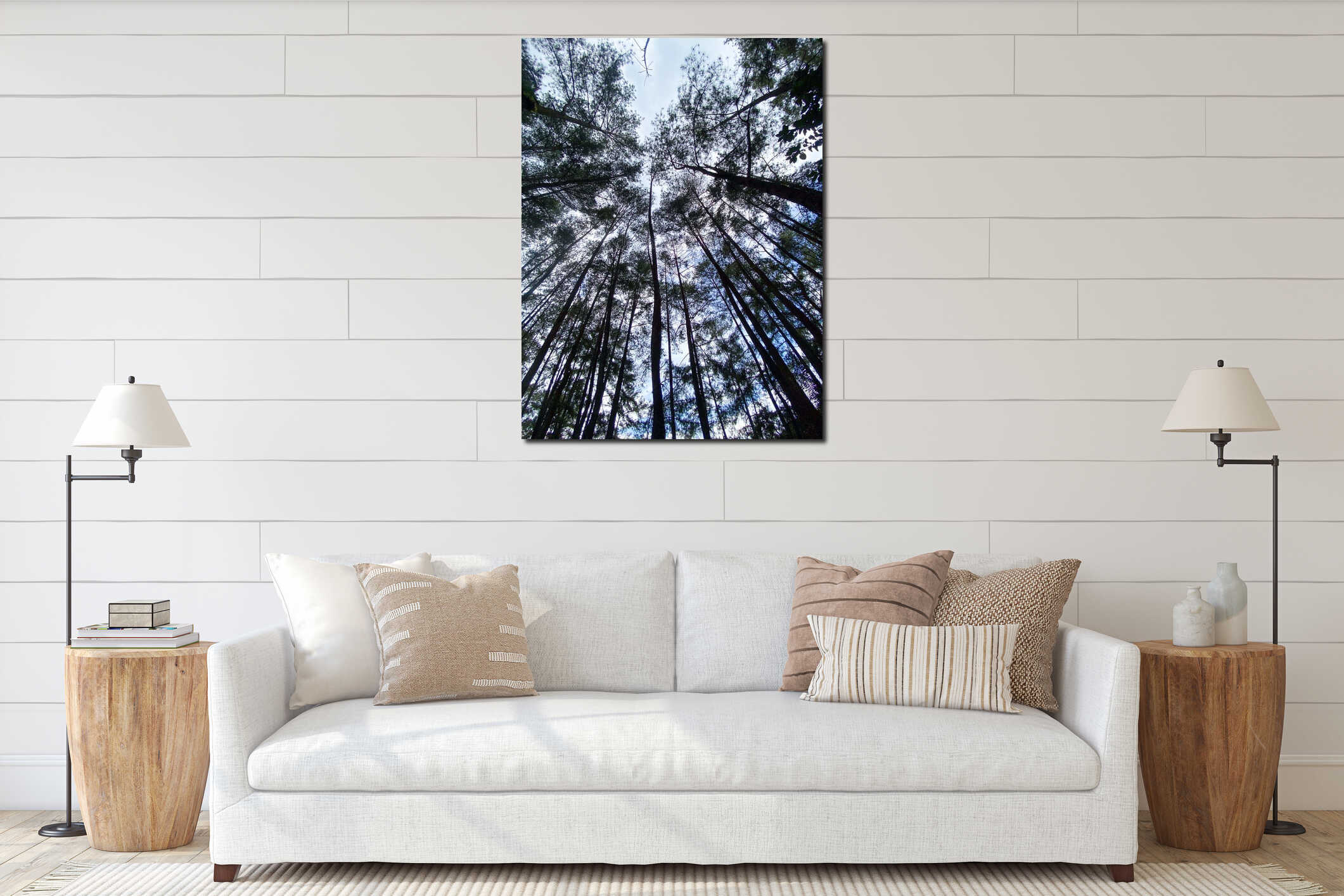 Pine Forest Canopy and Bright Sky interior mockup