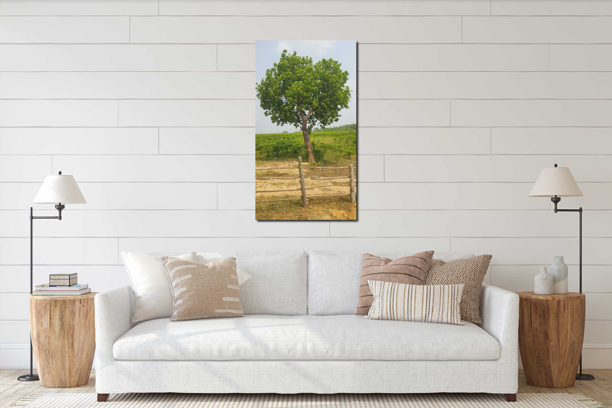 A solitary green tree standing tall in the middle of a vast rural tea plantation under the sun interior mockup