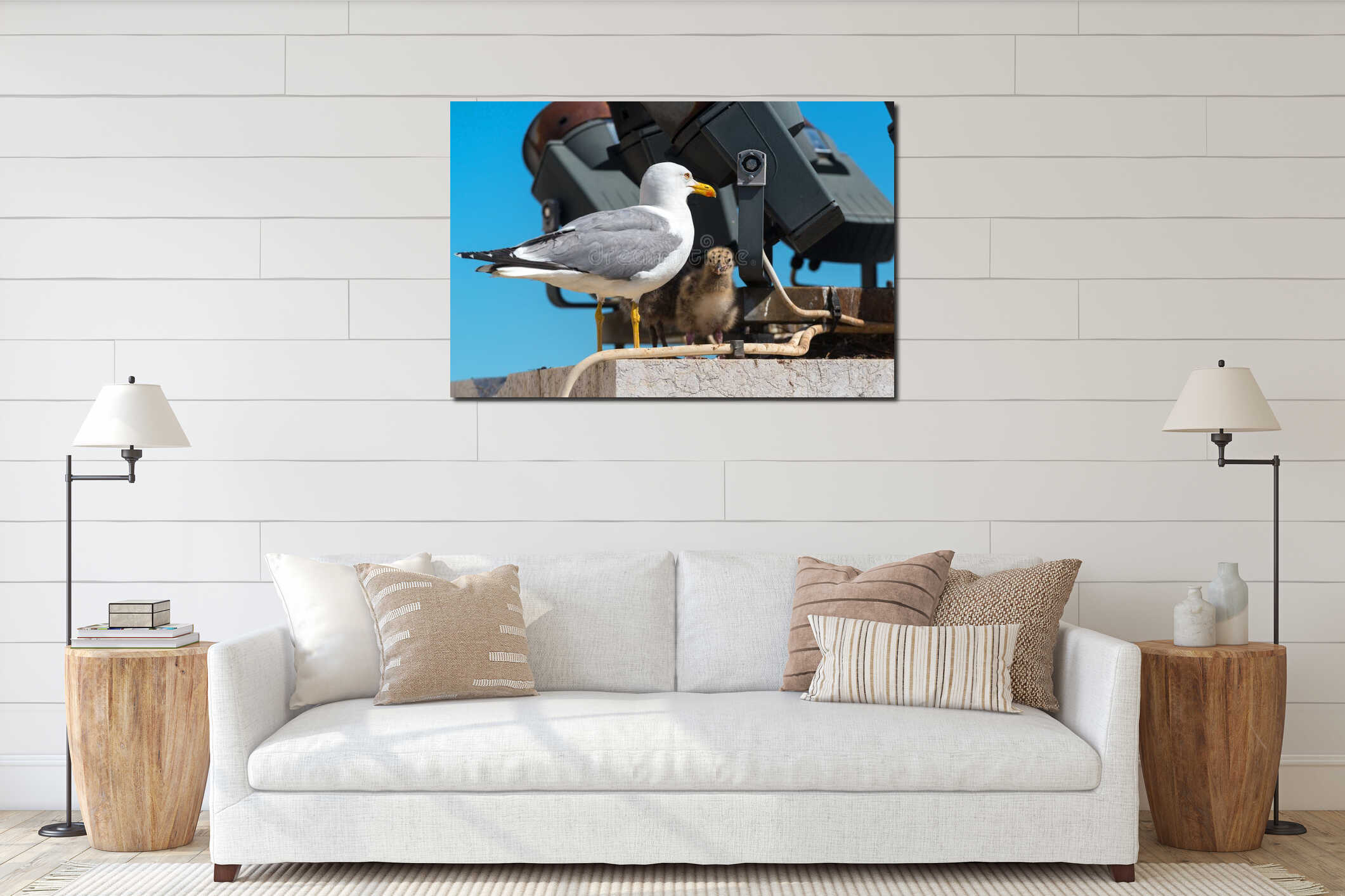 Seagull with their chicks in the Roman Forum interior mockup