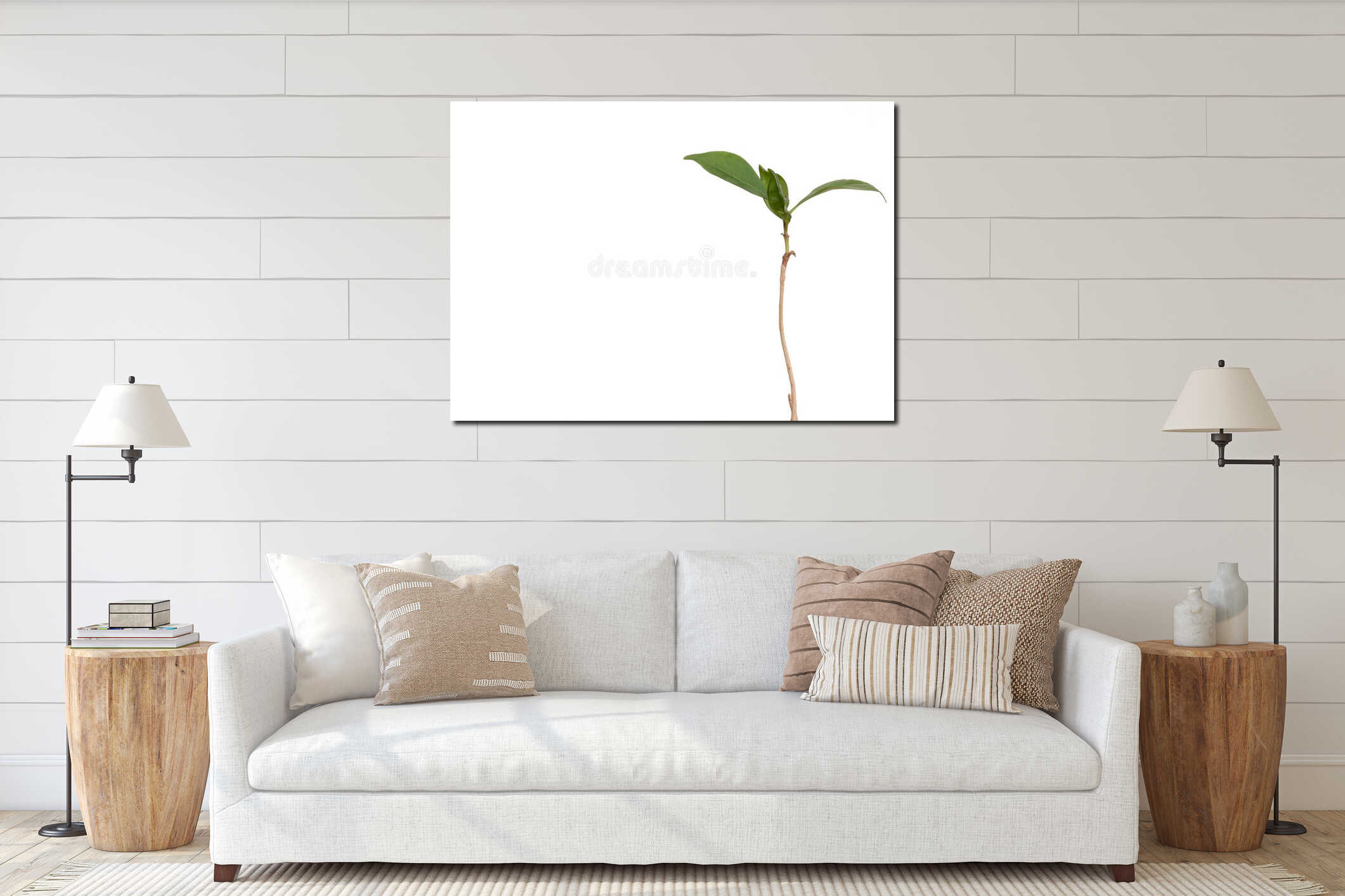 Isolated young coffee plant with long stem and bright green leaves with copyspace interior mockup