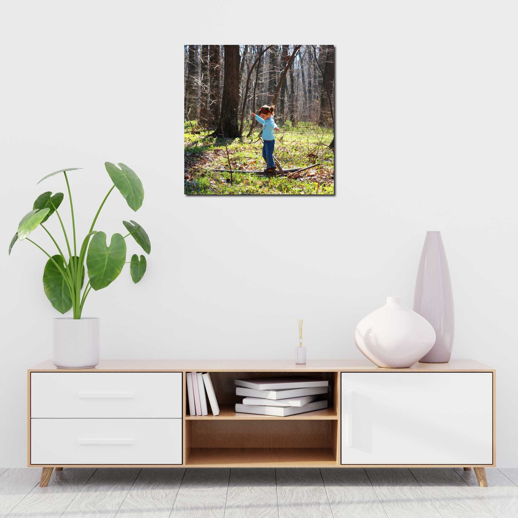 Canvas above sofa for size context