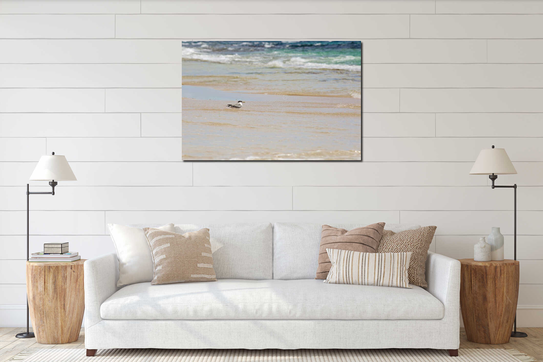 Seagull staying in the water on shore interior mockup