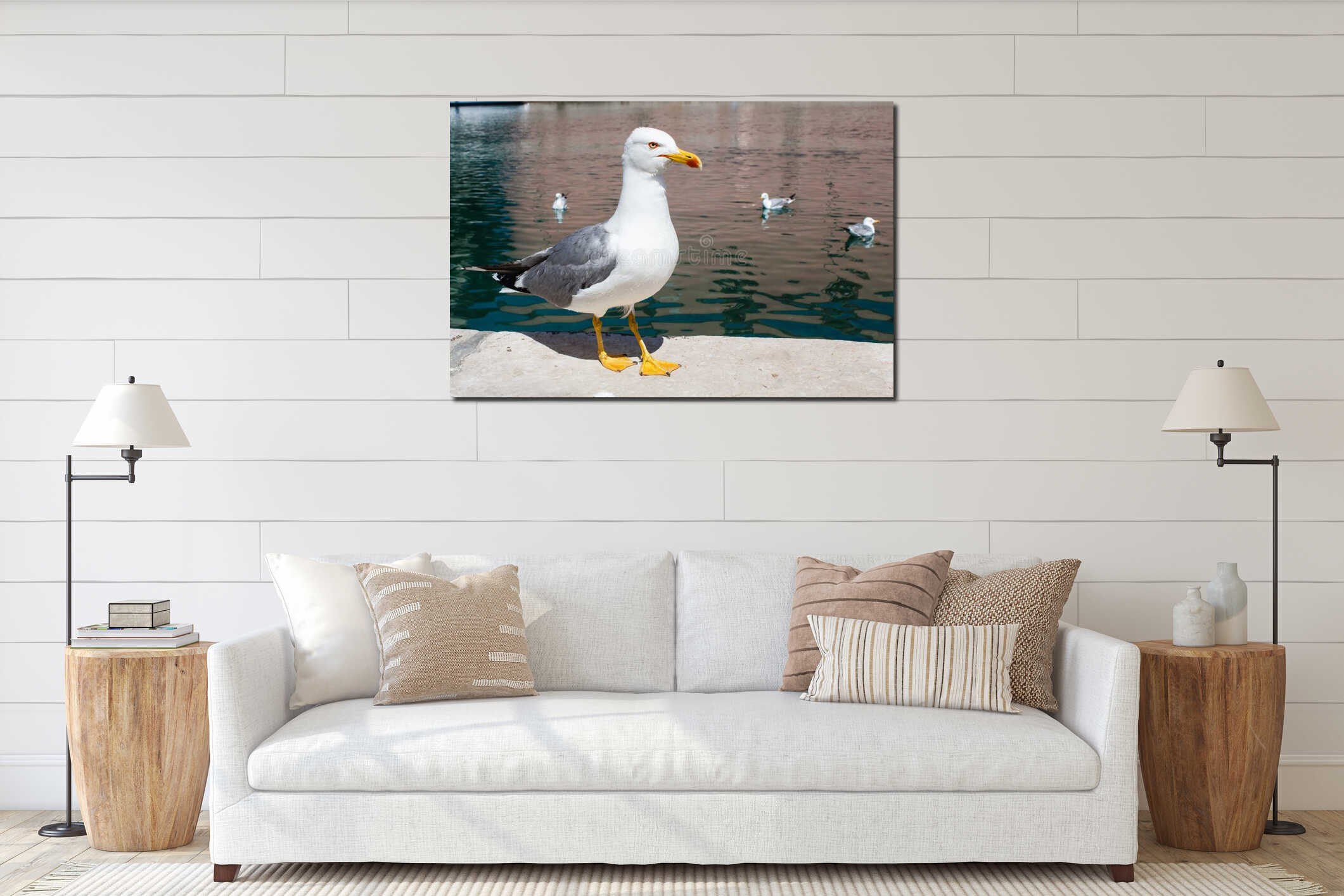 Big seagull standing on the stone border in the harbor on island in Croatia interior mockup