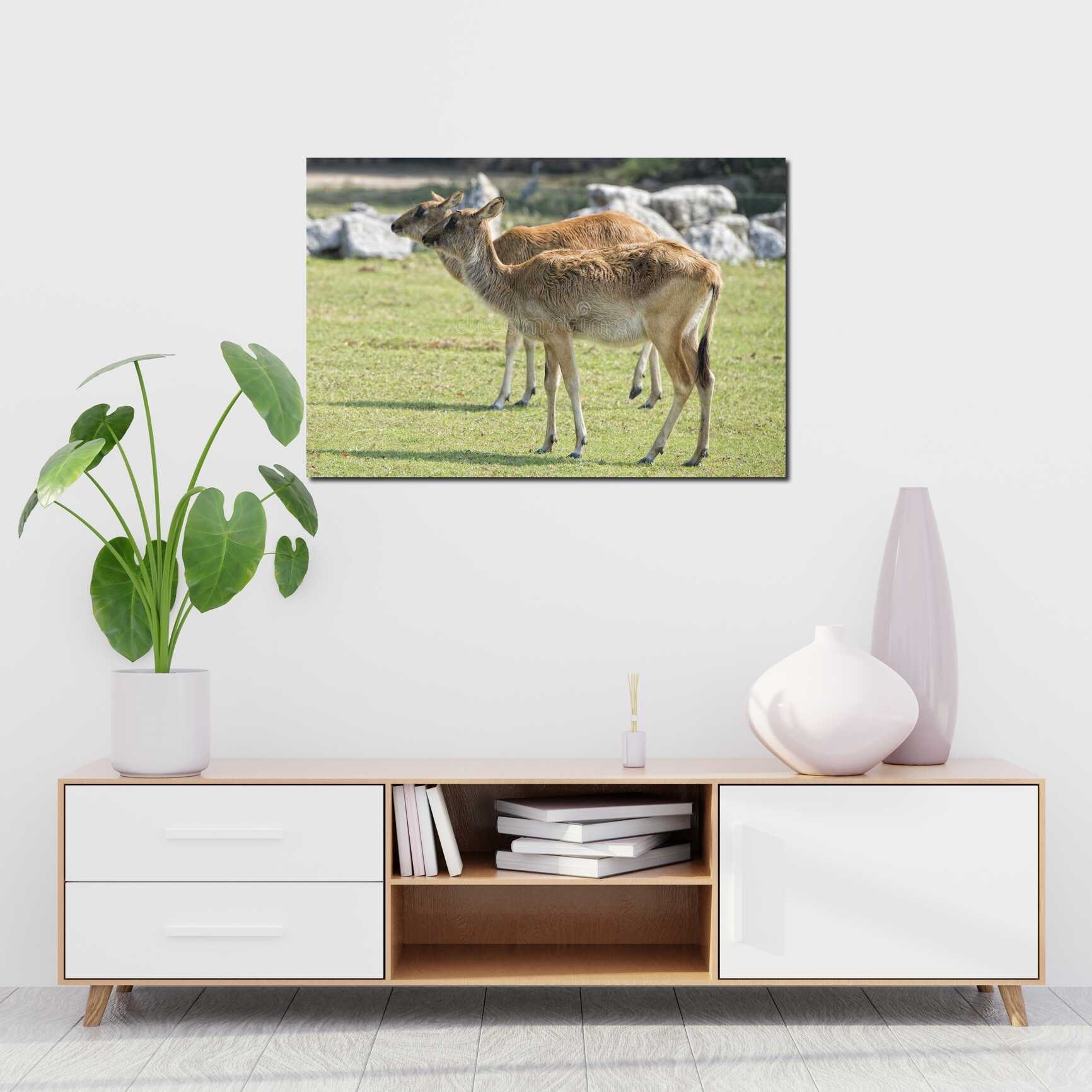 Canvas above sofa for size context