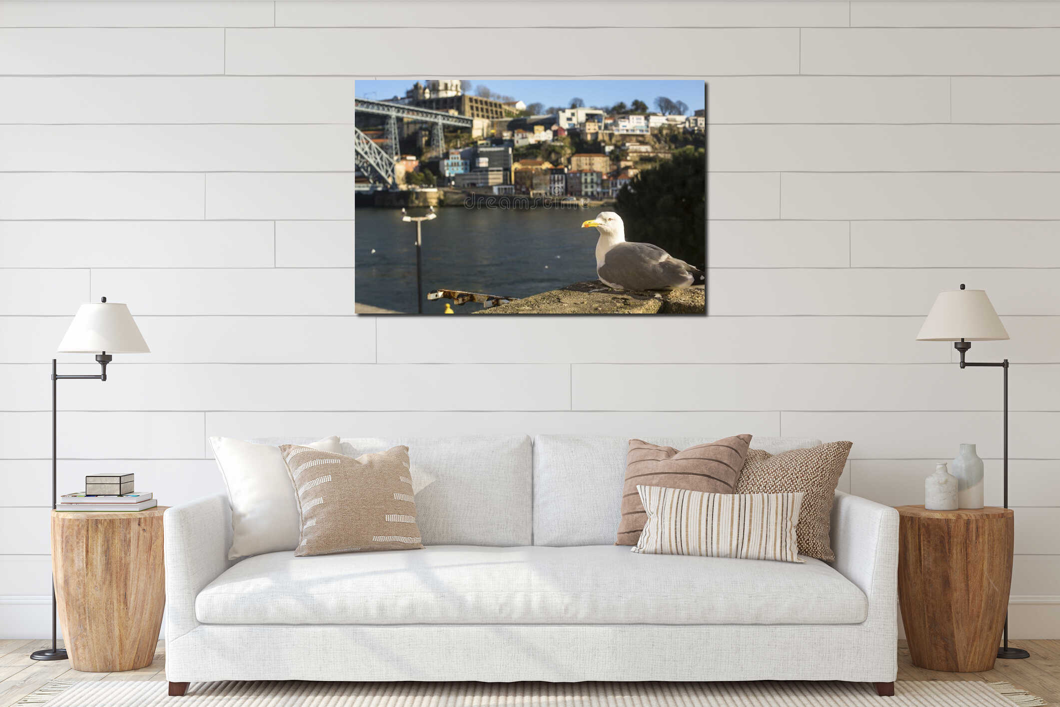 Seagull sits in Ribeira in , Porto, Portugal. interior mockup