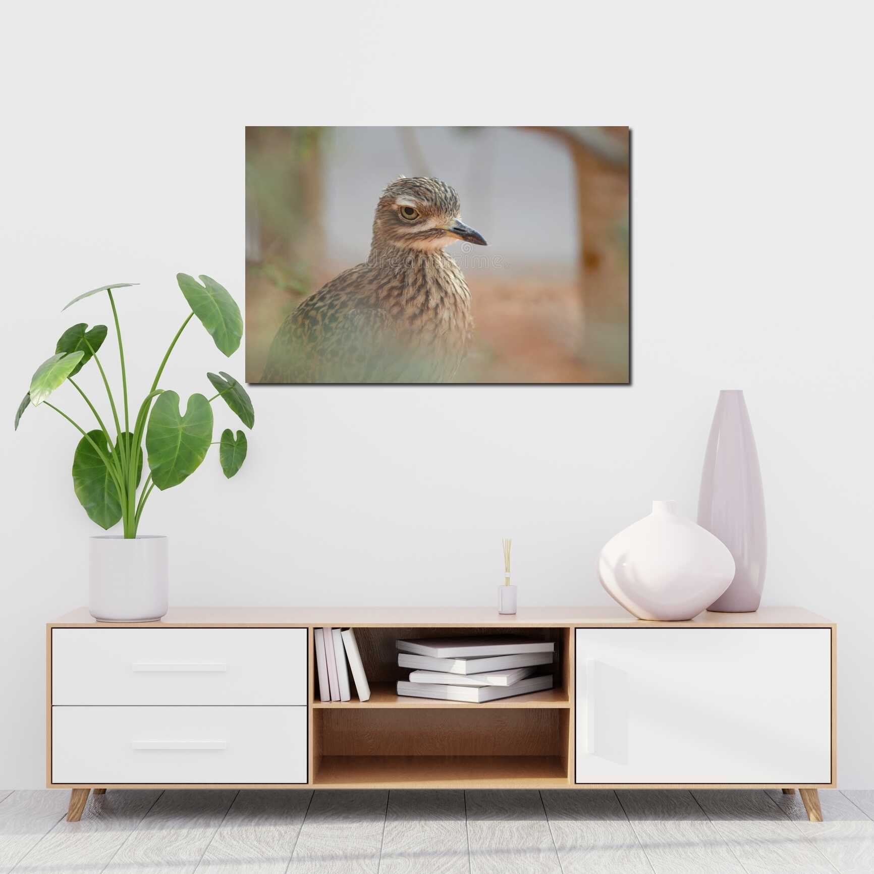 Canvas above sofa for size context