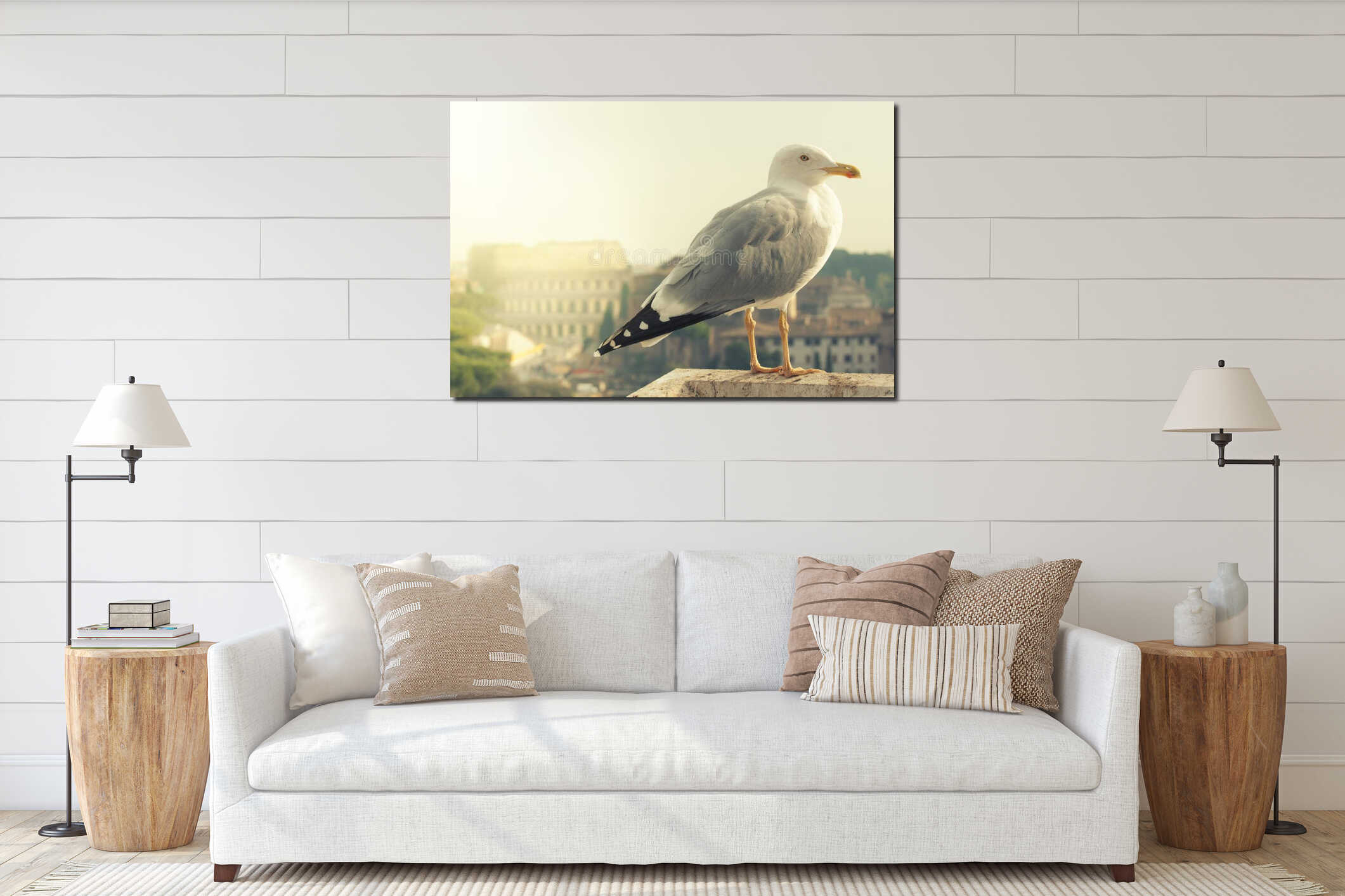 Colosseum and Seagull. Rome, Italy. interior mockup