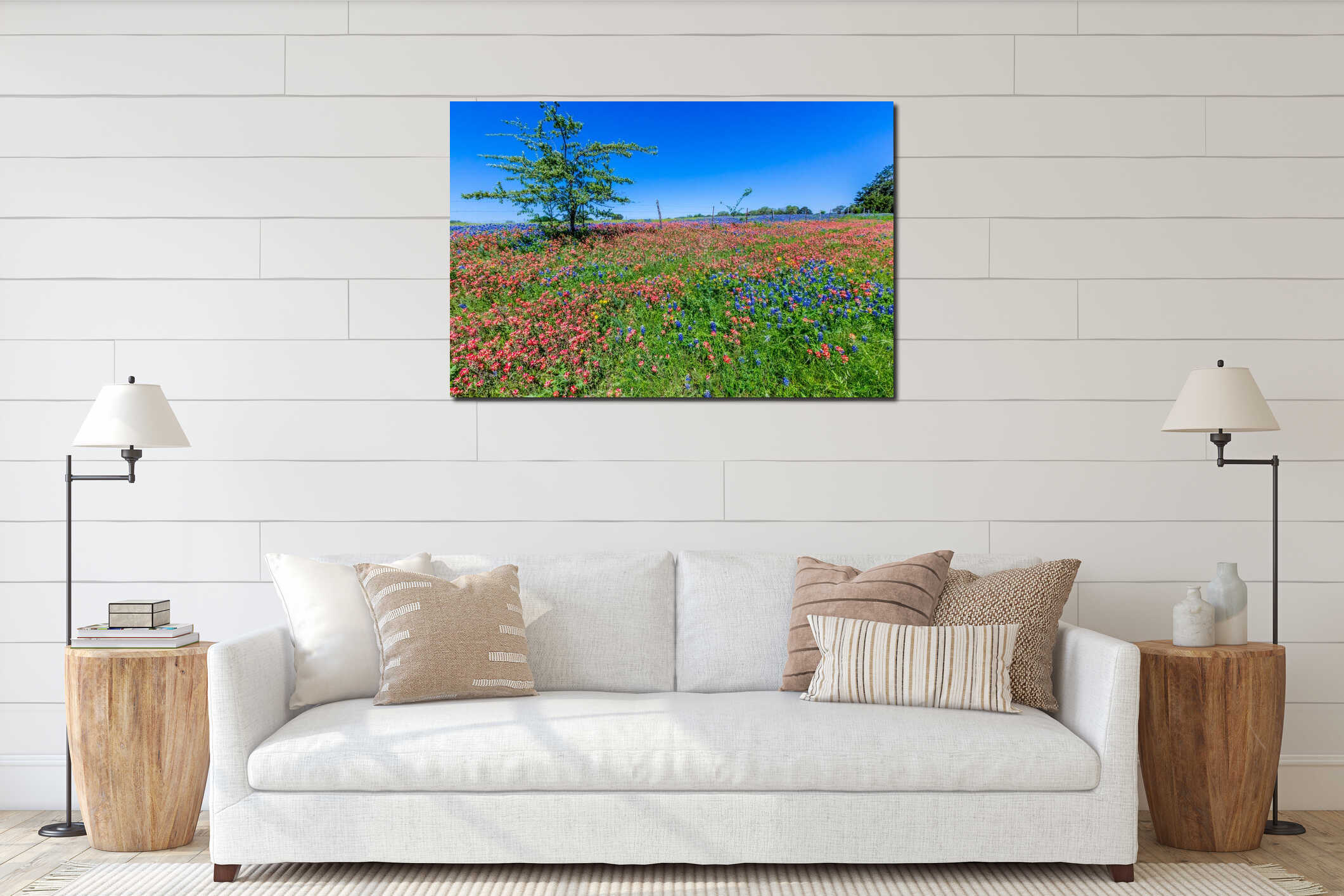A Wide Angle View of a Beautiful Field Blanketed with Indian Paintbrush and the Famous Texas Bluebonnet interior mockup