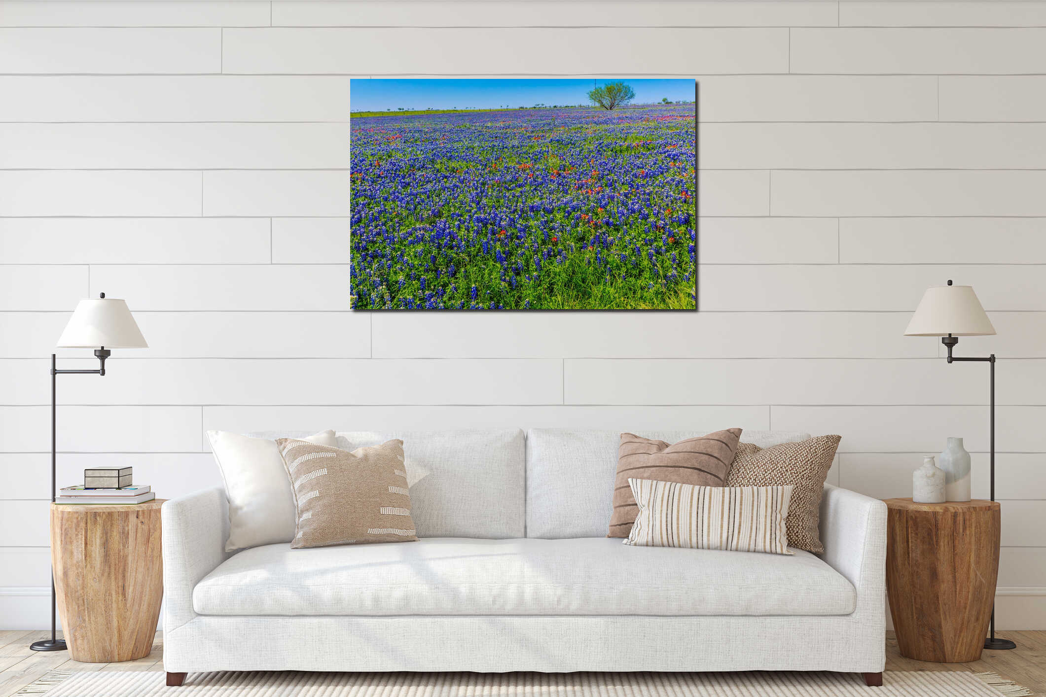 A Wide Angle View of a Beautiful Field Blanketed with the Famous Texas Bluebonnet interior mockup