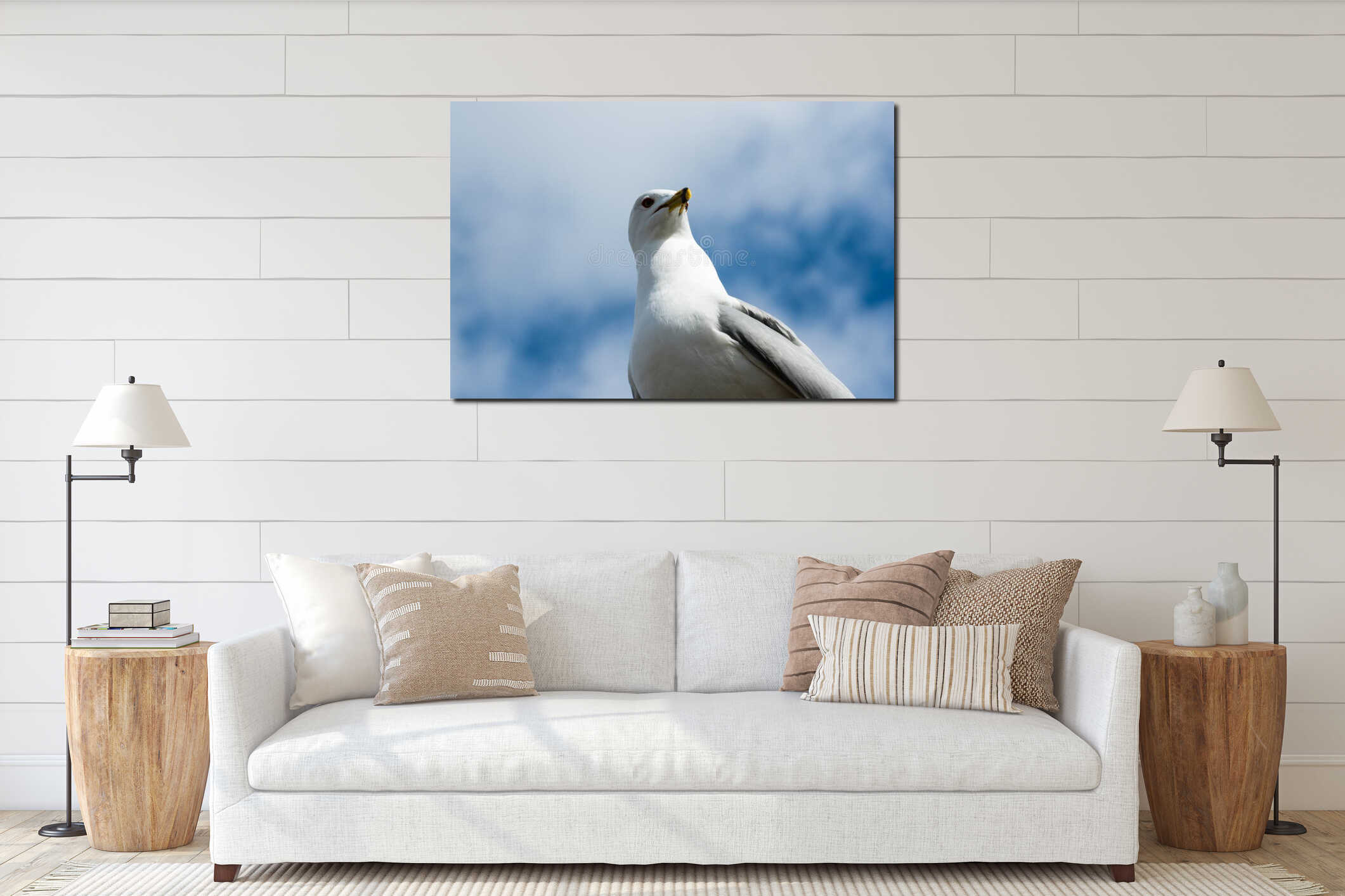 Seagull turning head and casting shadow. interior mockup
