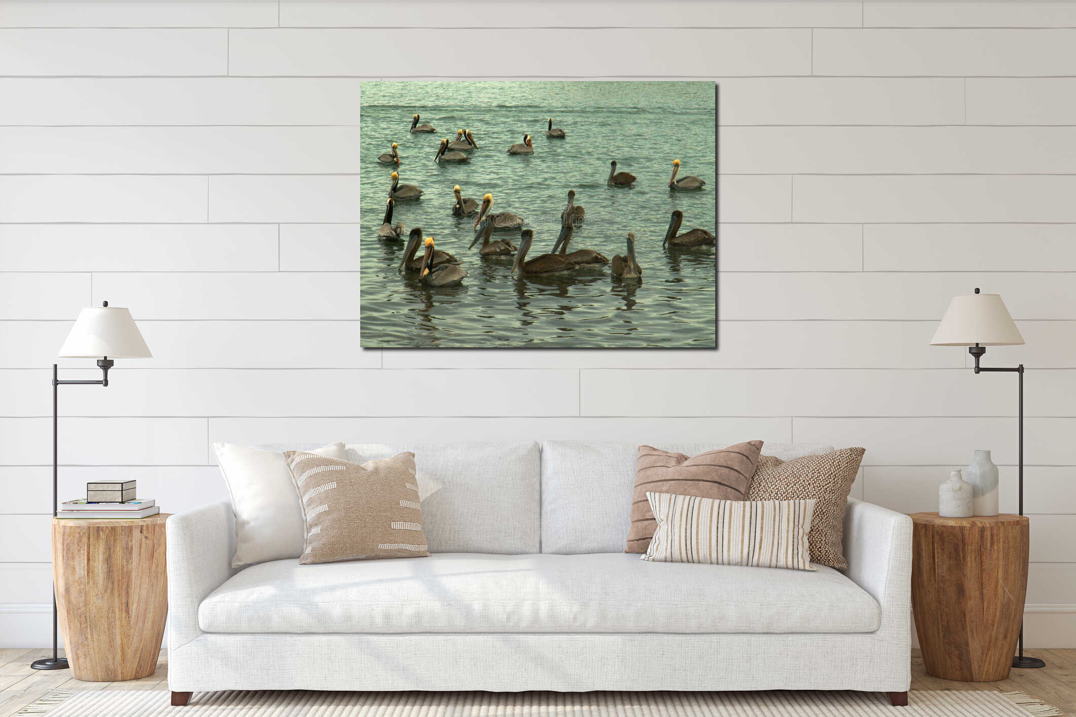Flock of Brown Pelicans on the Gulf of California, near Mulege, Mexico interior mockup