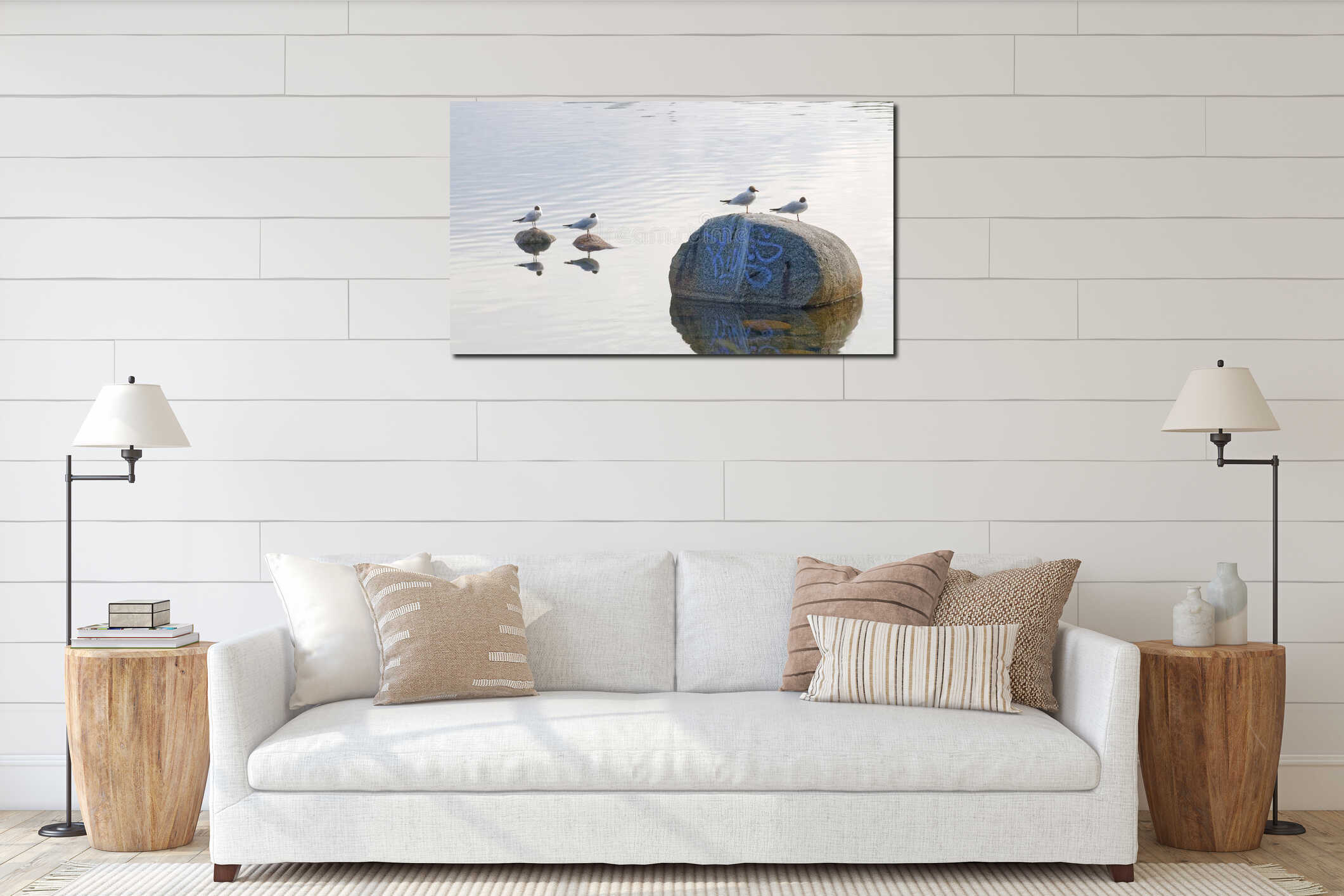 Four black headed gull standing on stones interior mockup