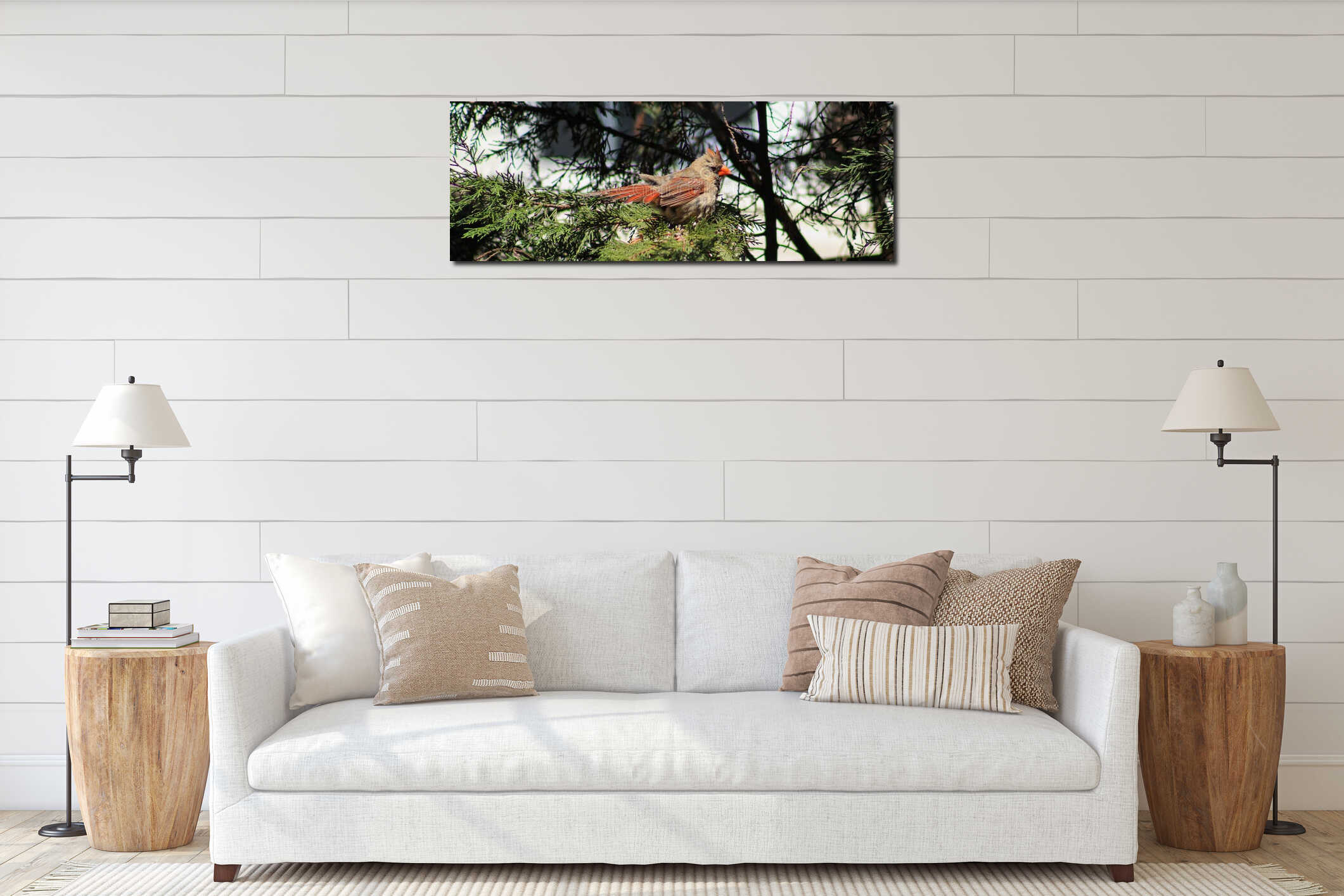 Female Cardinal-on pinetree interior mockup