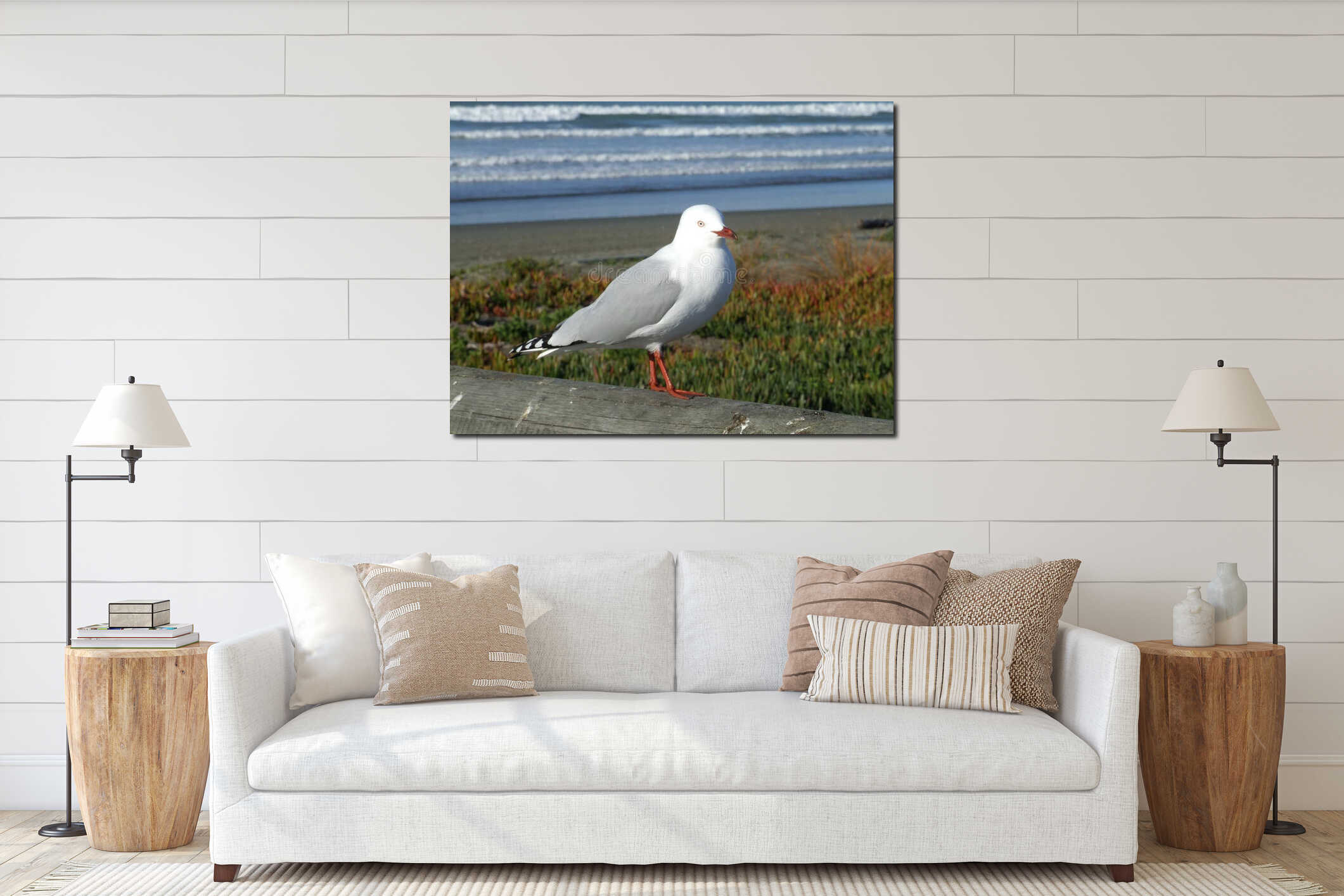 Seagull at New Brighton, Chch, Nz interior mockup