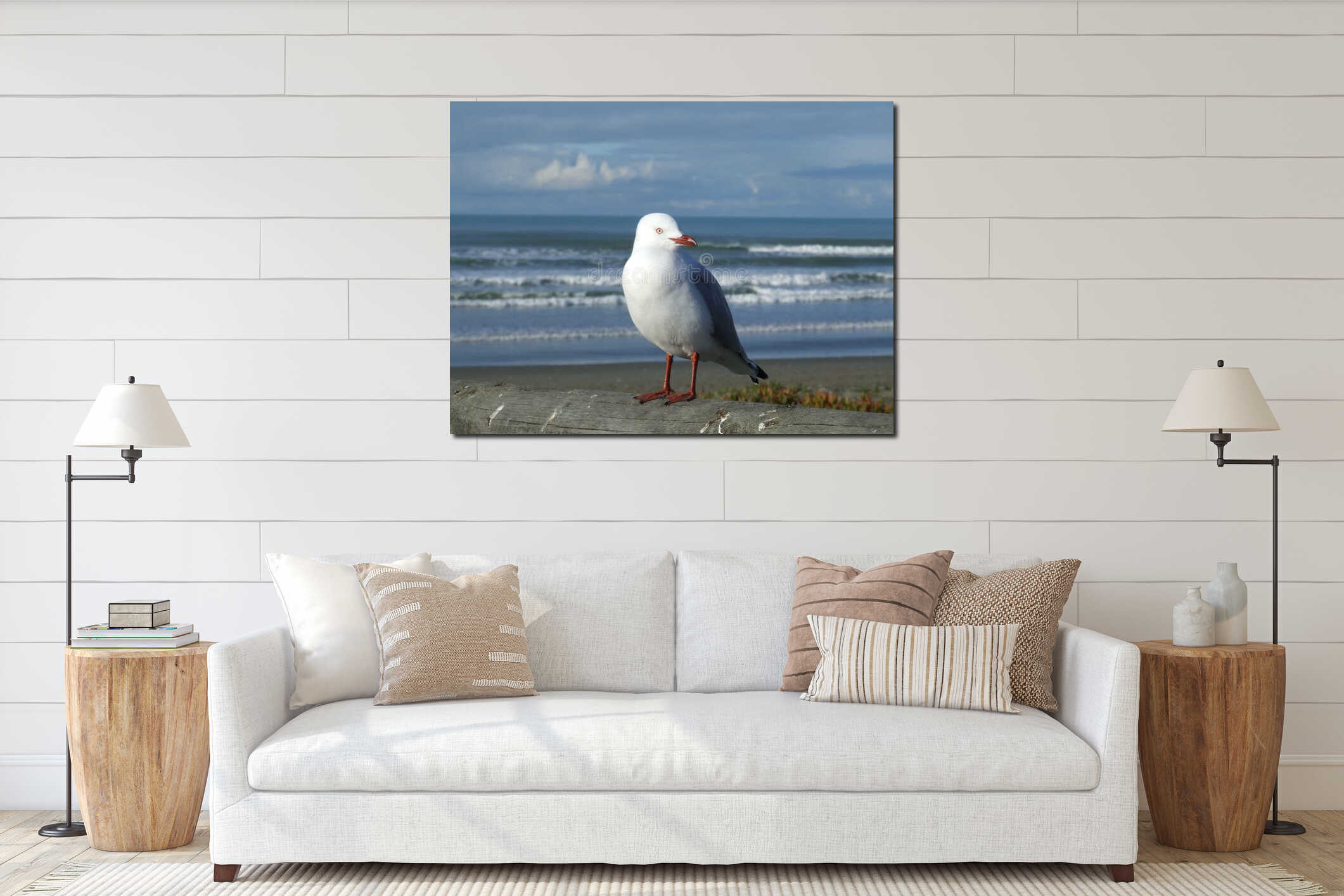 Seagull at New Brighton, Chch, Nz interior mockup
