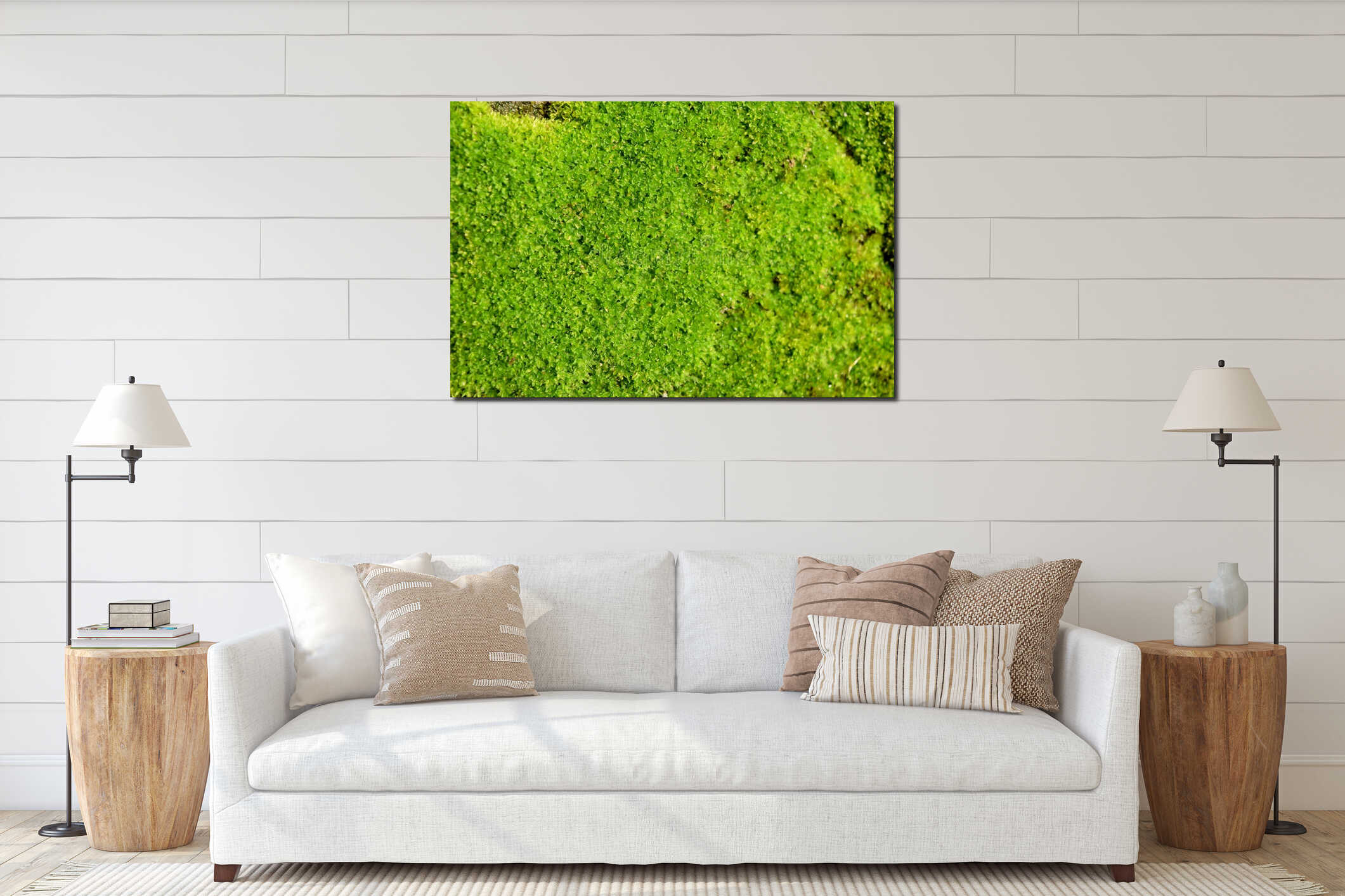 Soft Green moss close-up nature abstract background interior mockup