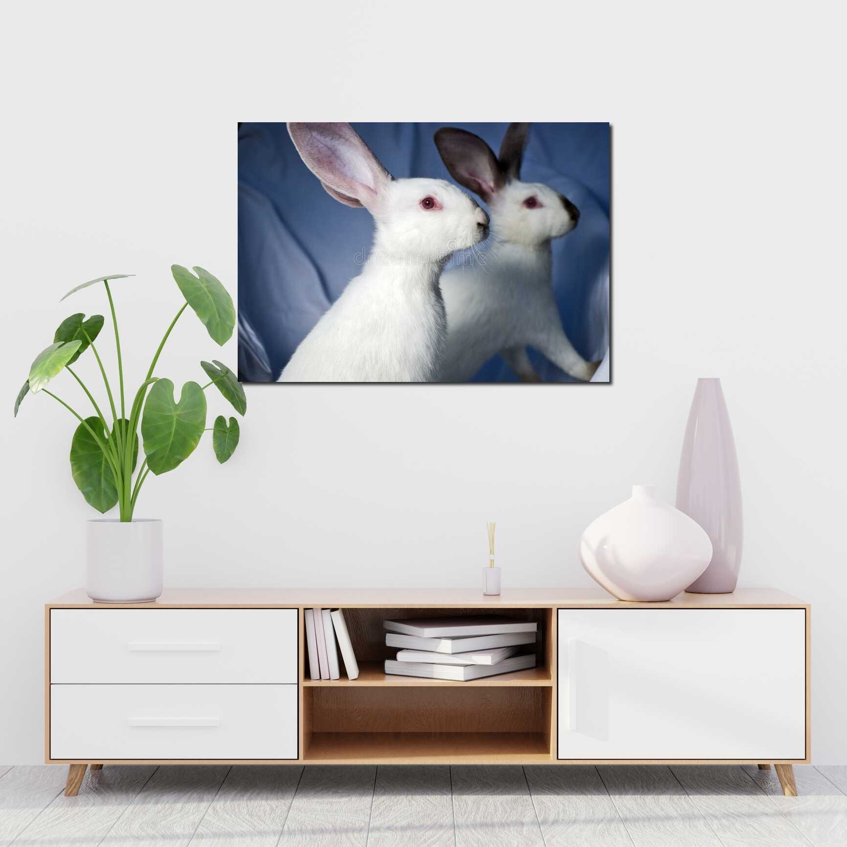 Canvas above sofa for size context