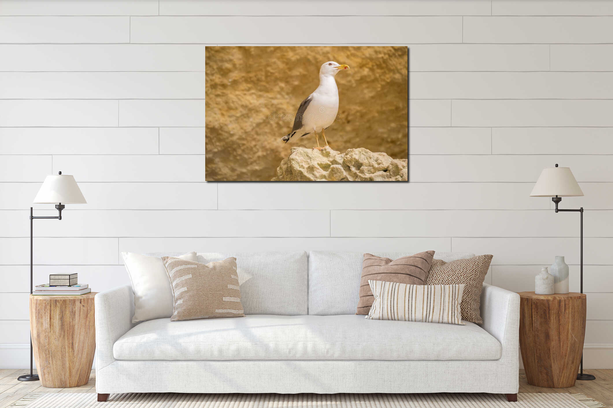 Seagull on a rock watching interior mockup