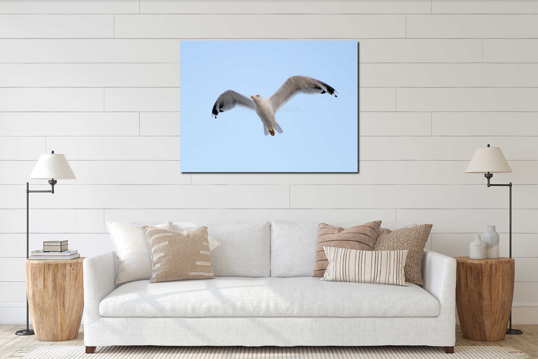 Young seagull flying interior mockup