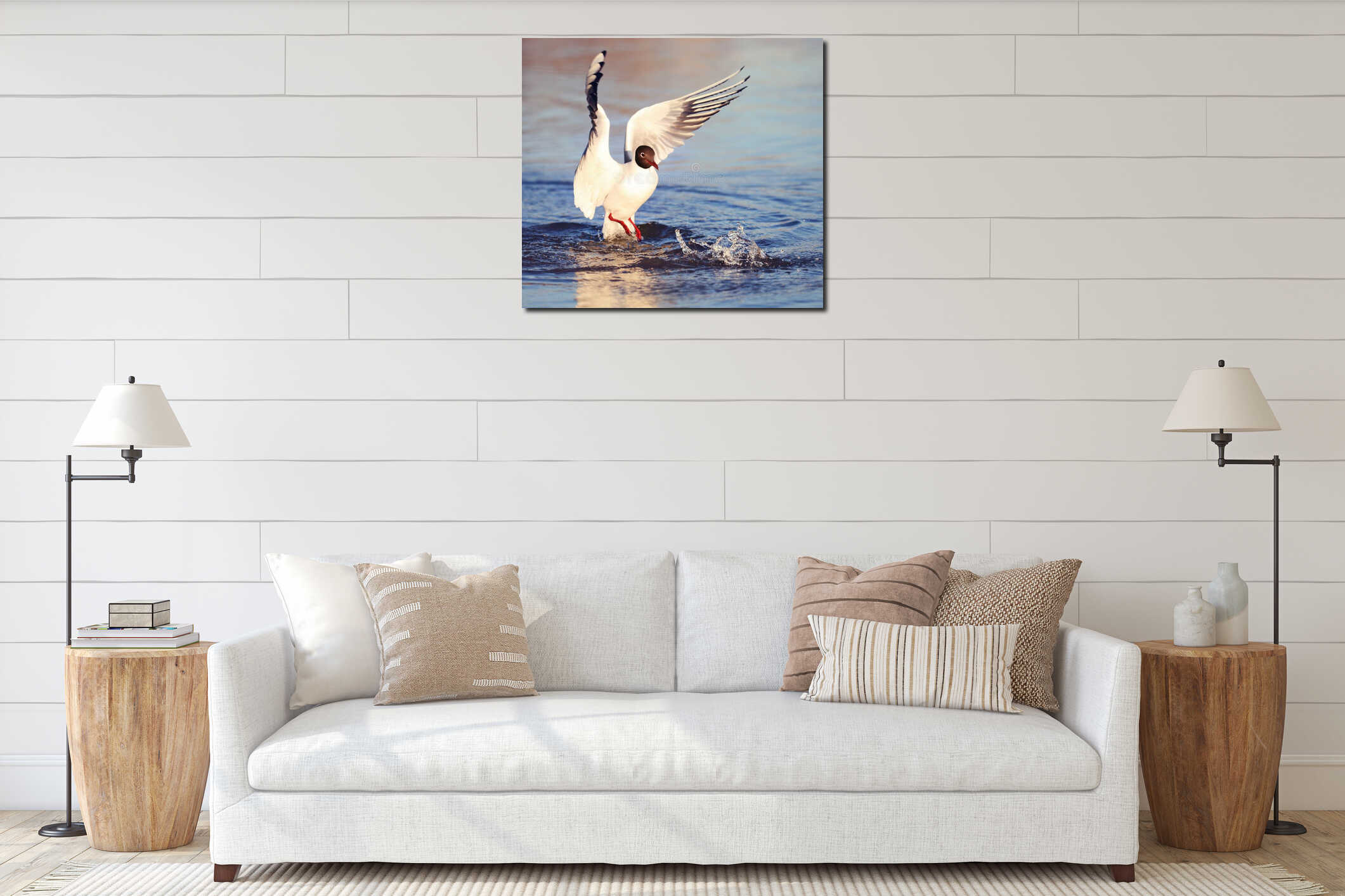 Black-head seagull above water interior mockup