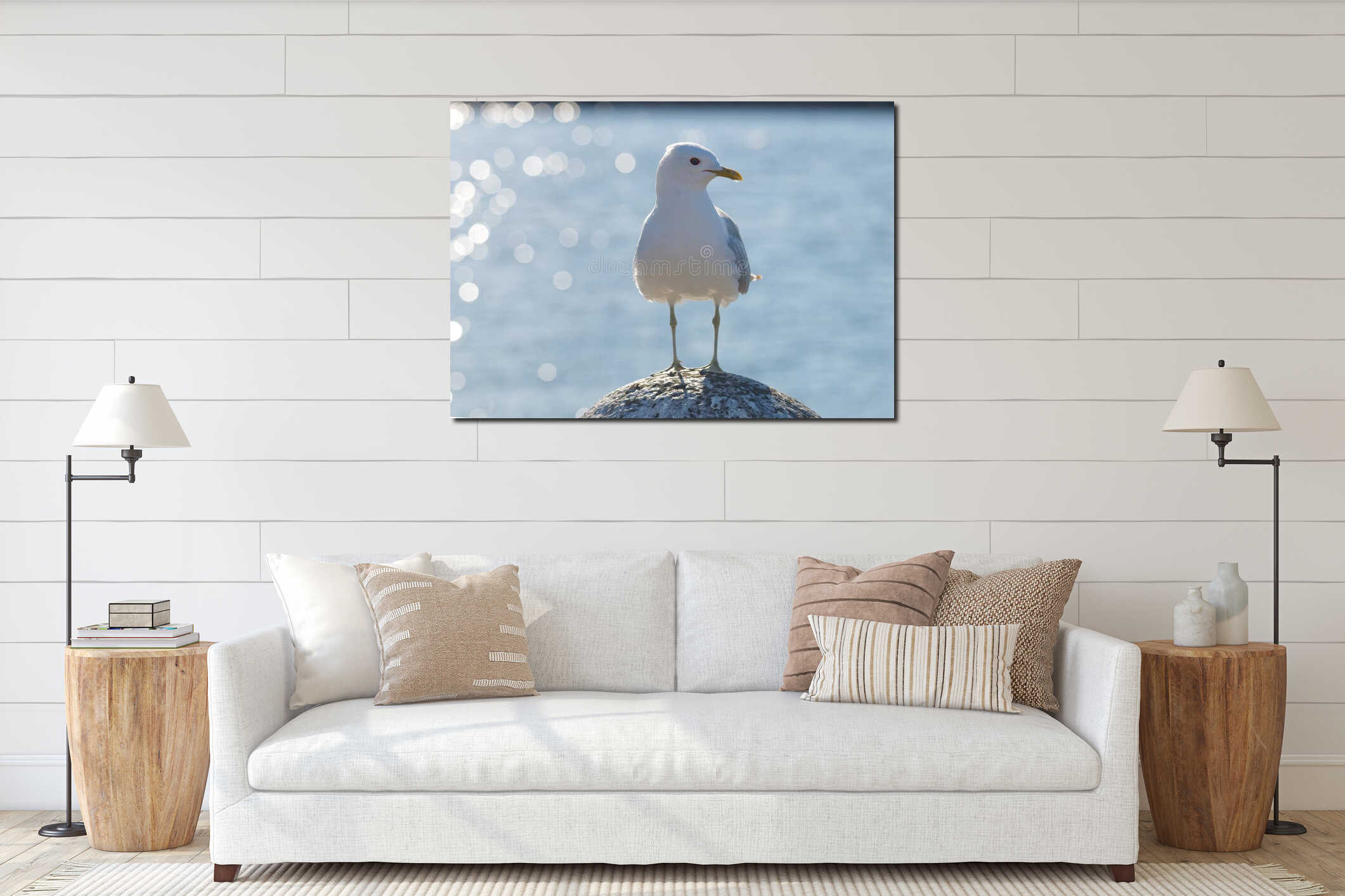 Seagull standing on a stone interior mockup