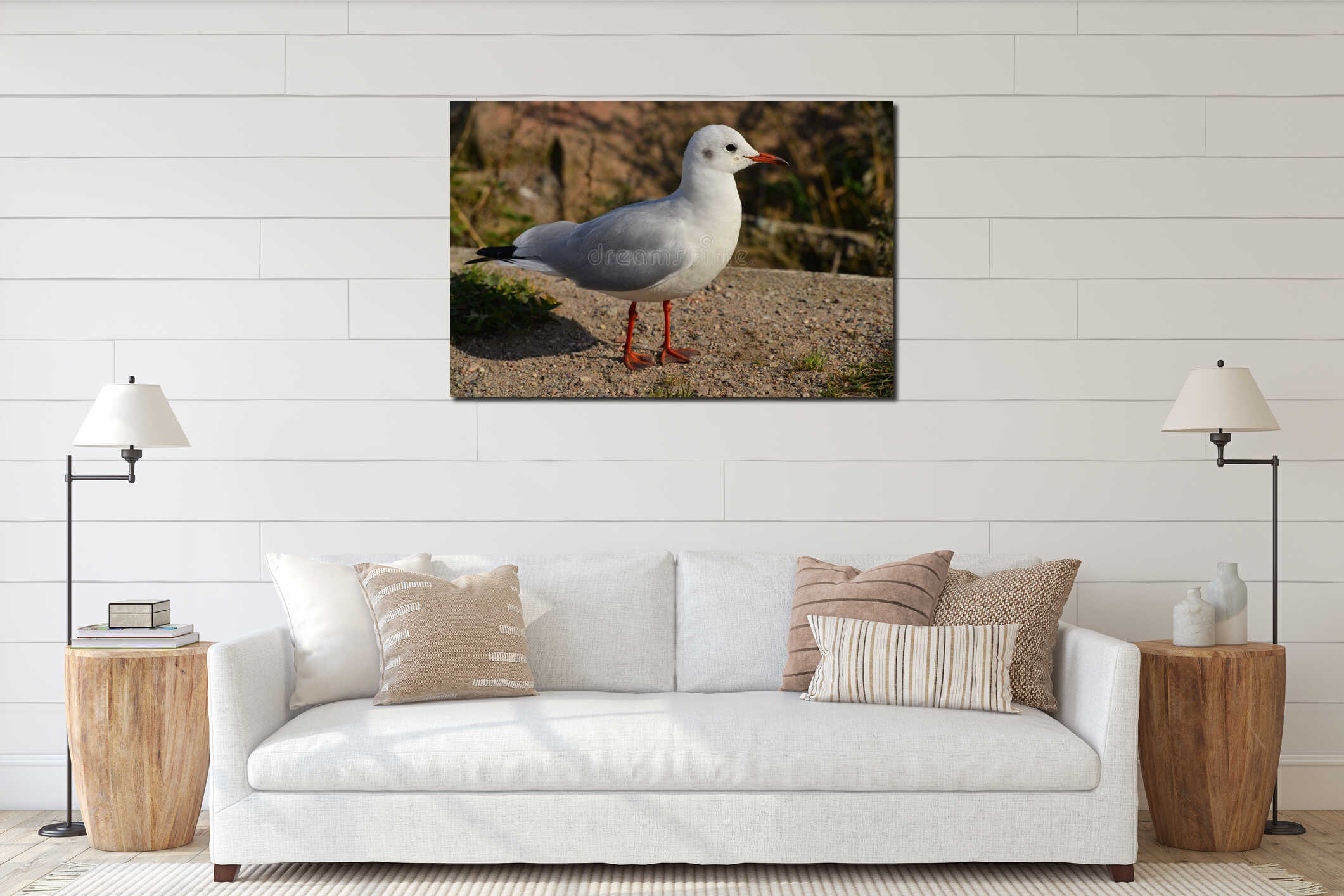 A seagull staying interior mockup