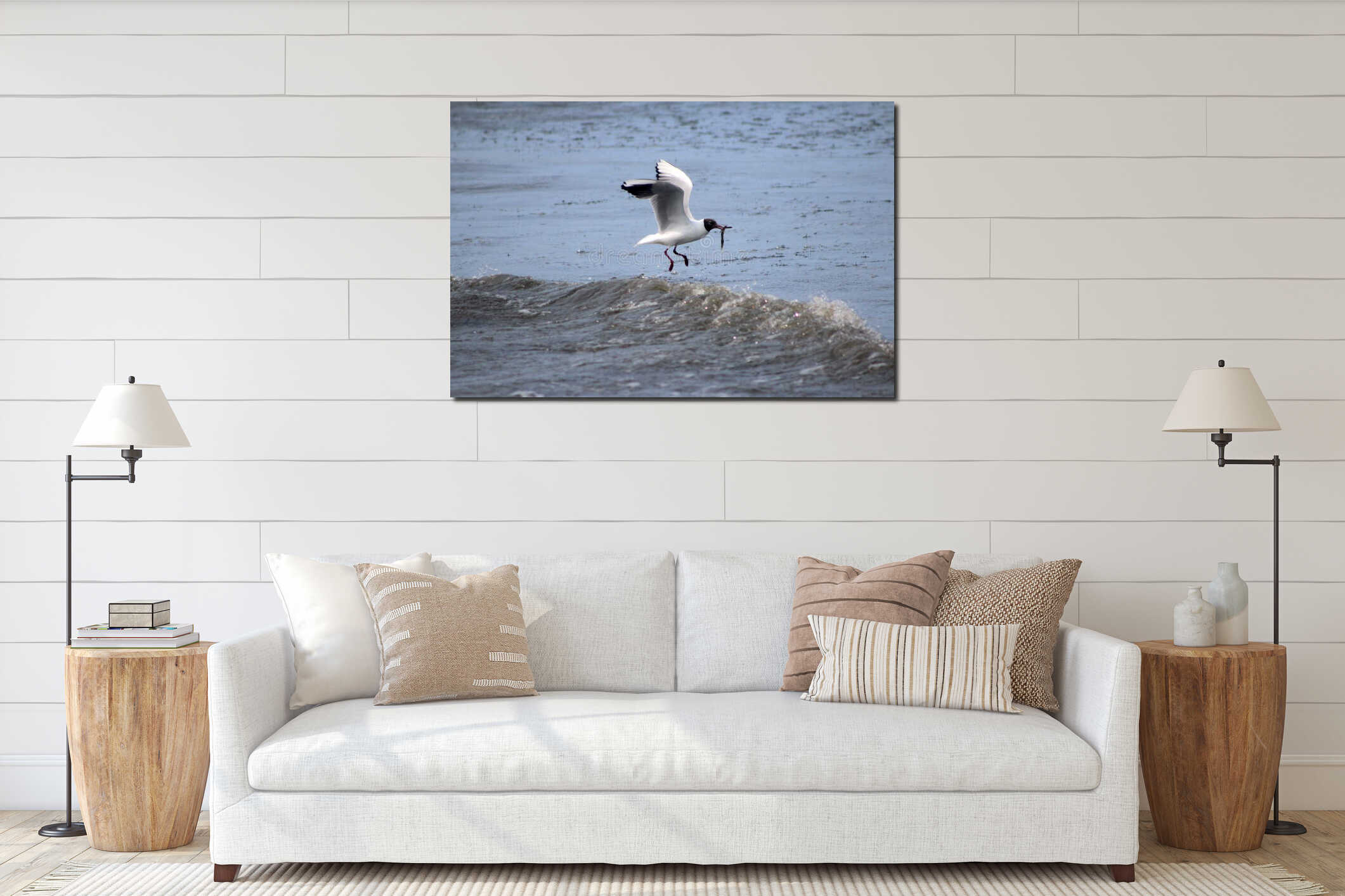 Black Headed Seagull Fishing in the Sea interior mockup