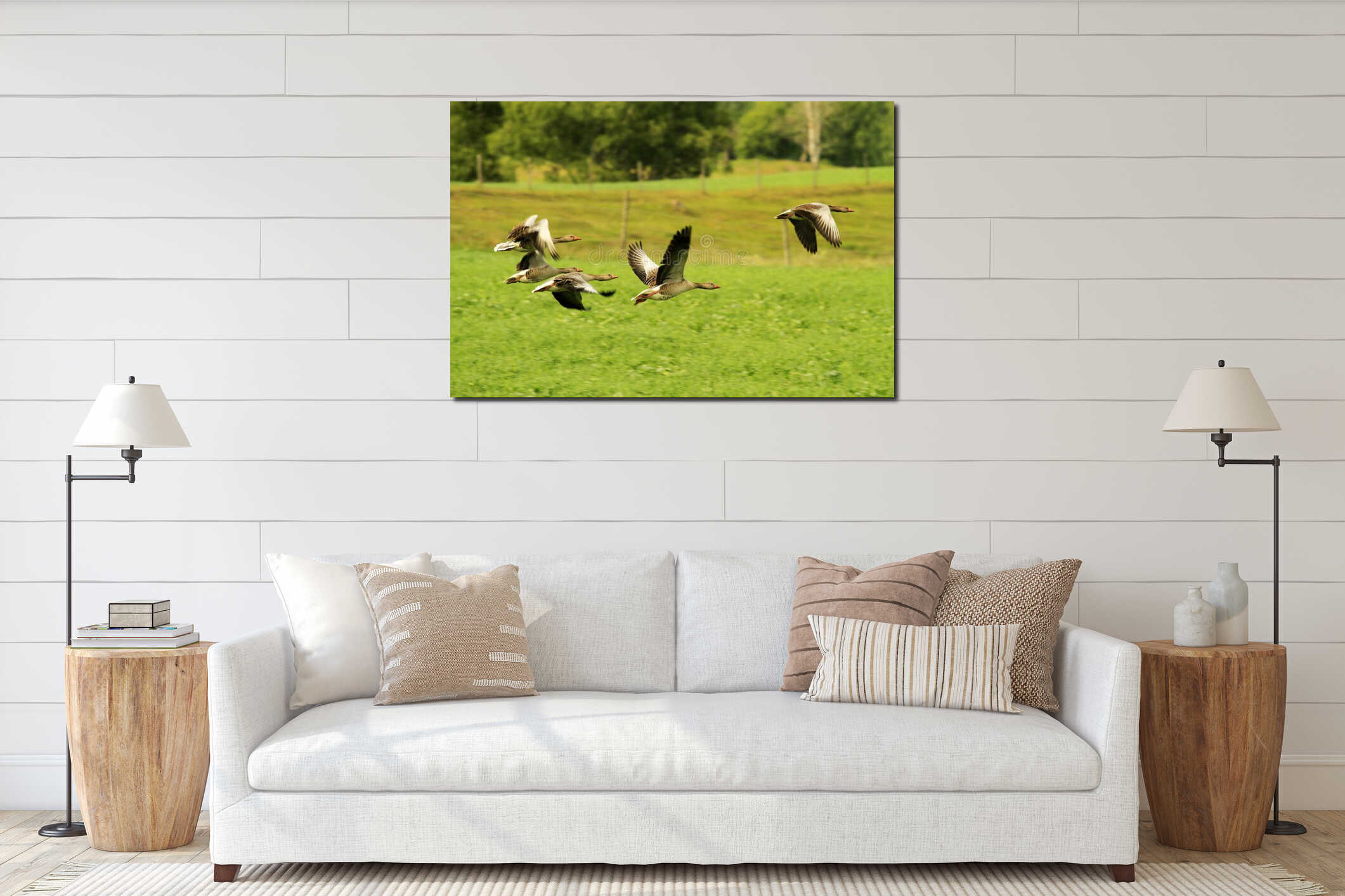 Flock of greylag geese interior mockup