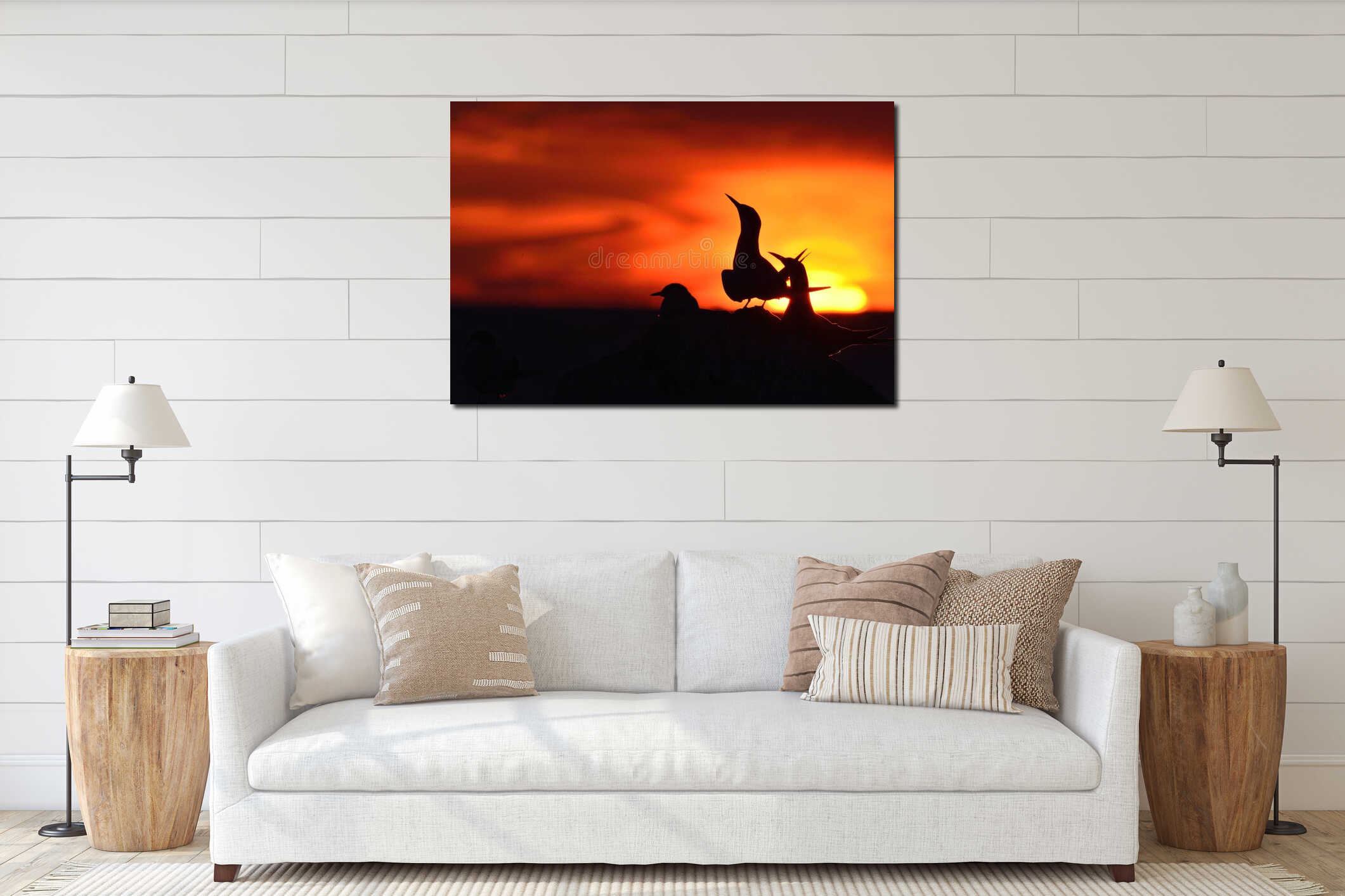 Silhouette of Common Terns on red sunset interior mockup