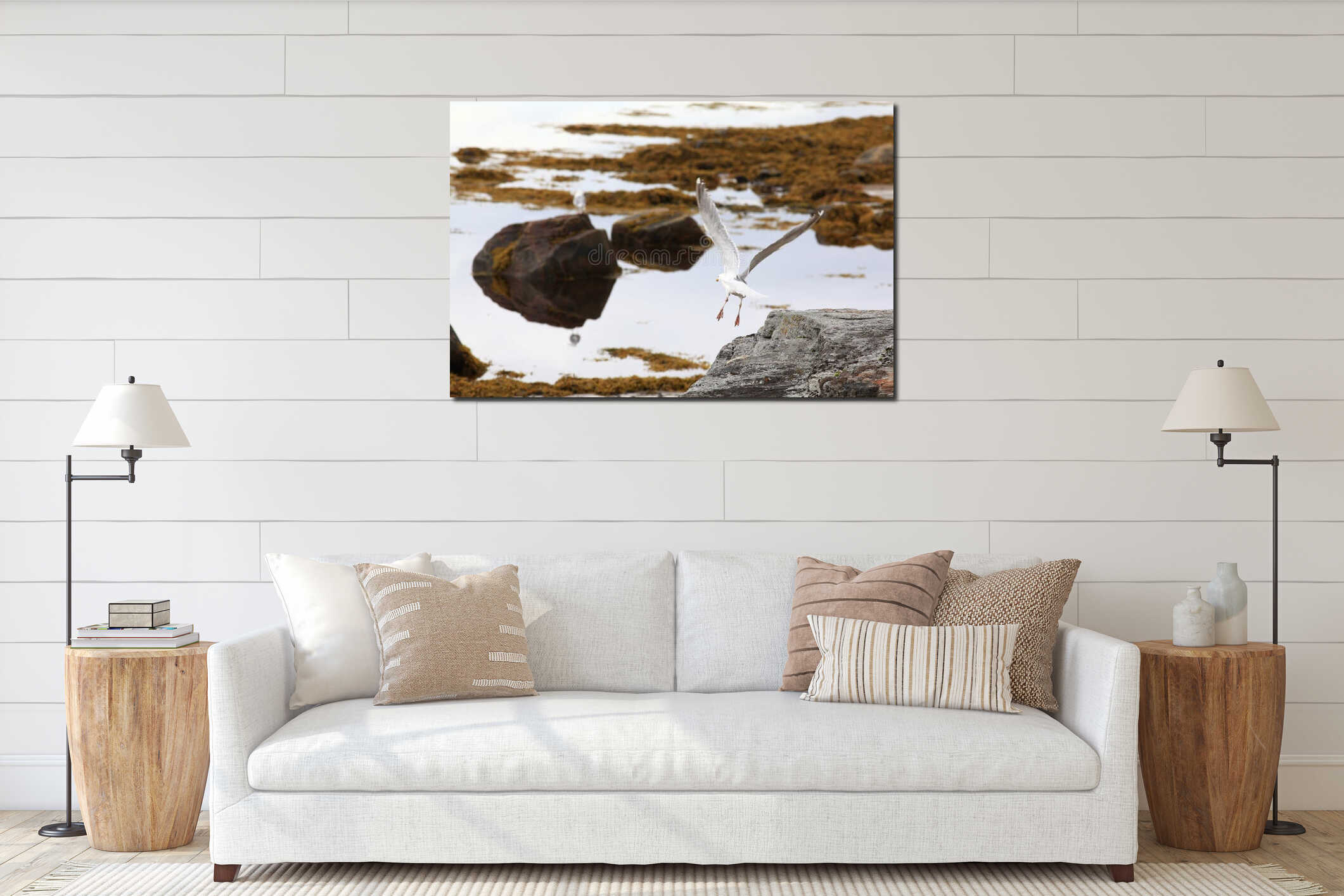 Seagull on rocky sea beach interior mockup