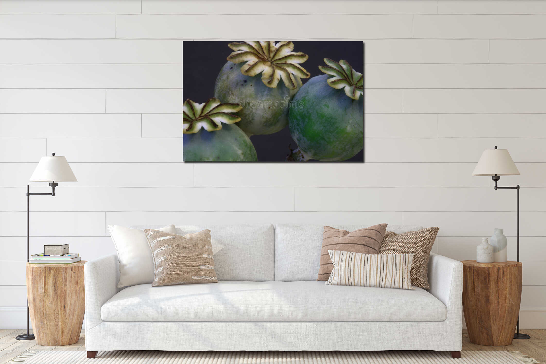 Poppy seed pods interior mockup