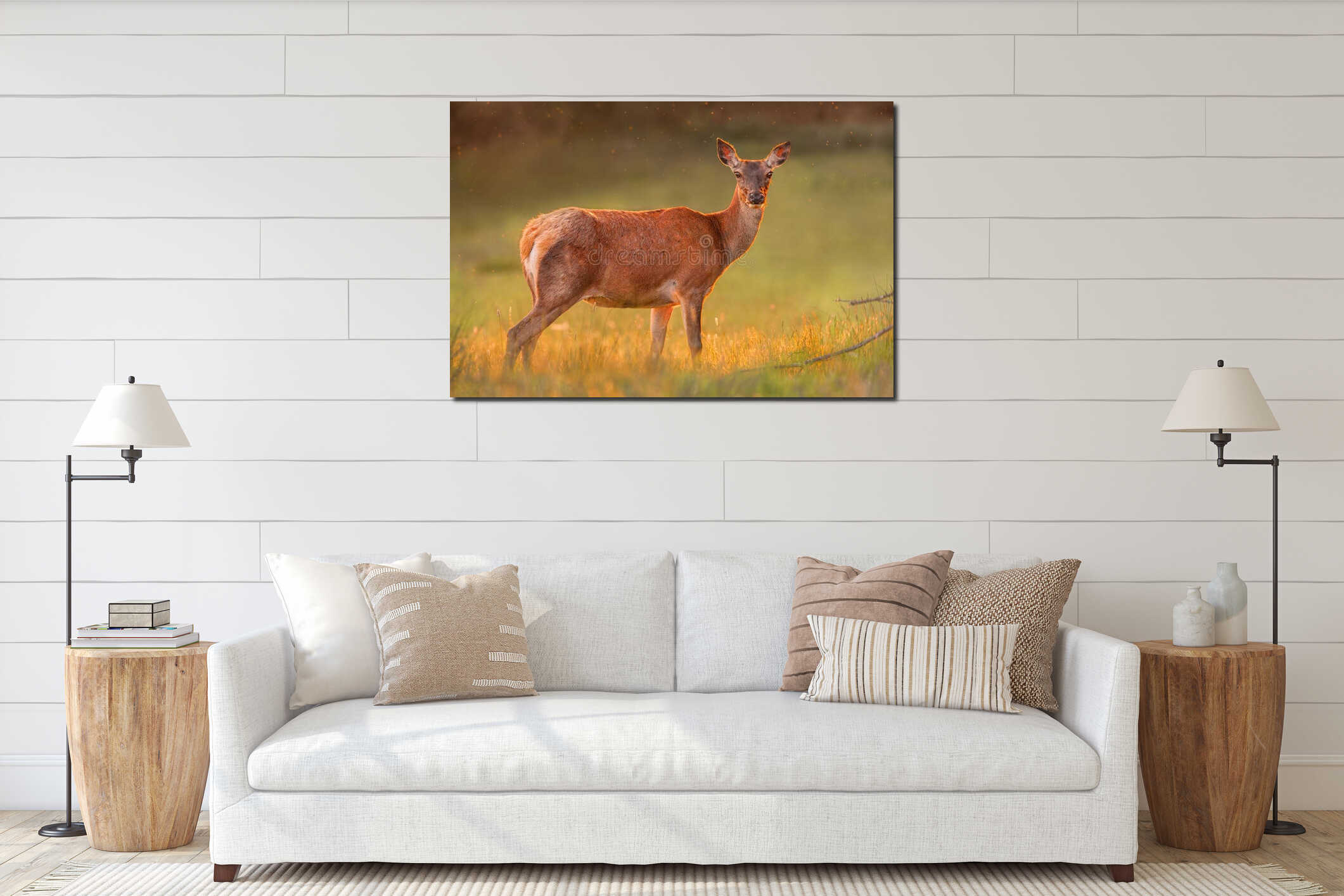 Red doe in golden sunset light interior mockup