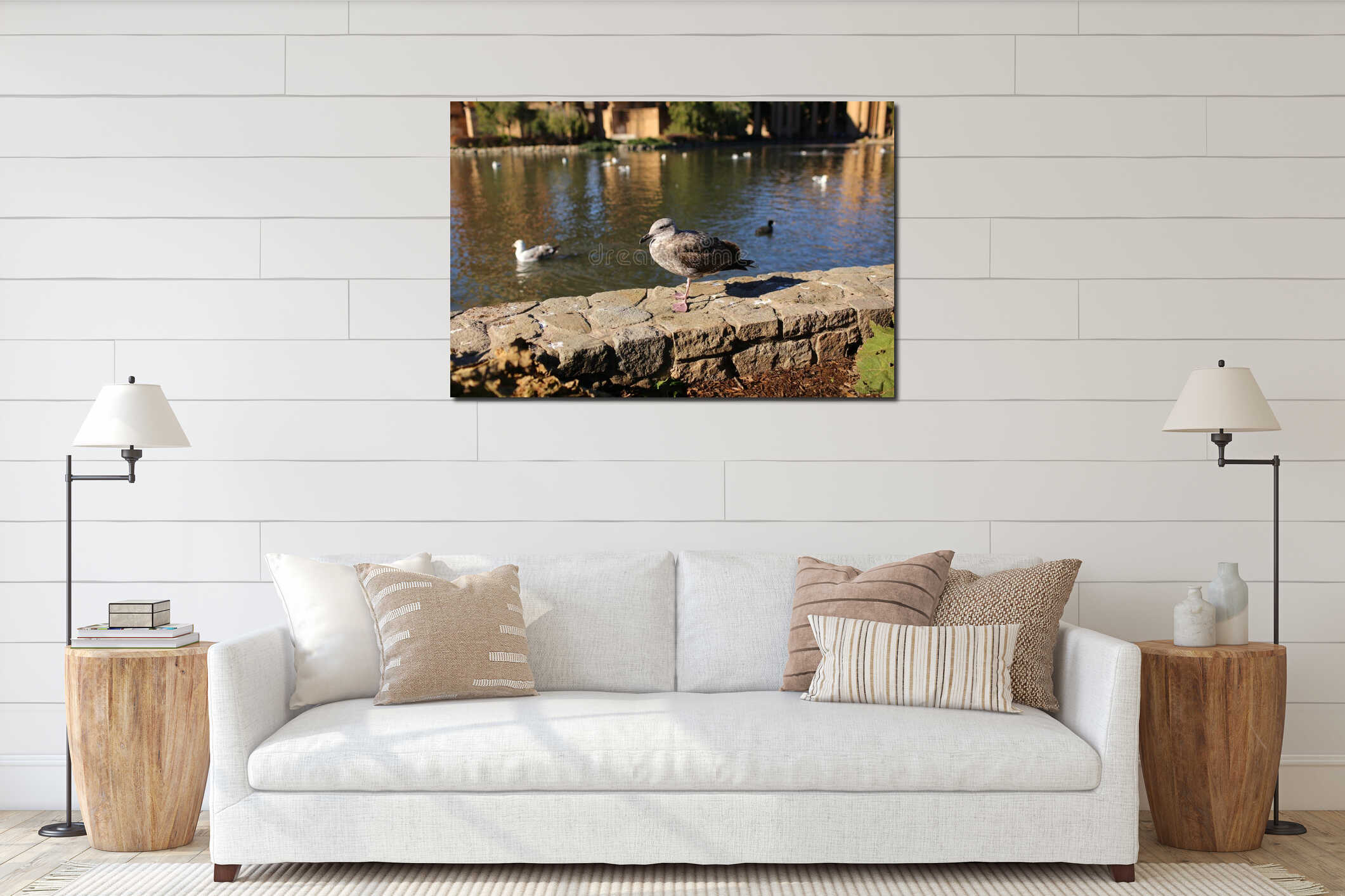 Seagull staying on wall interior mockup