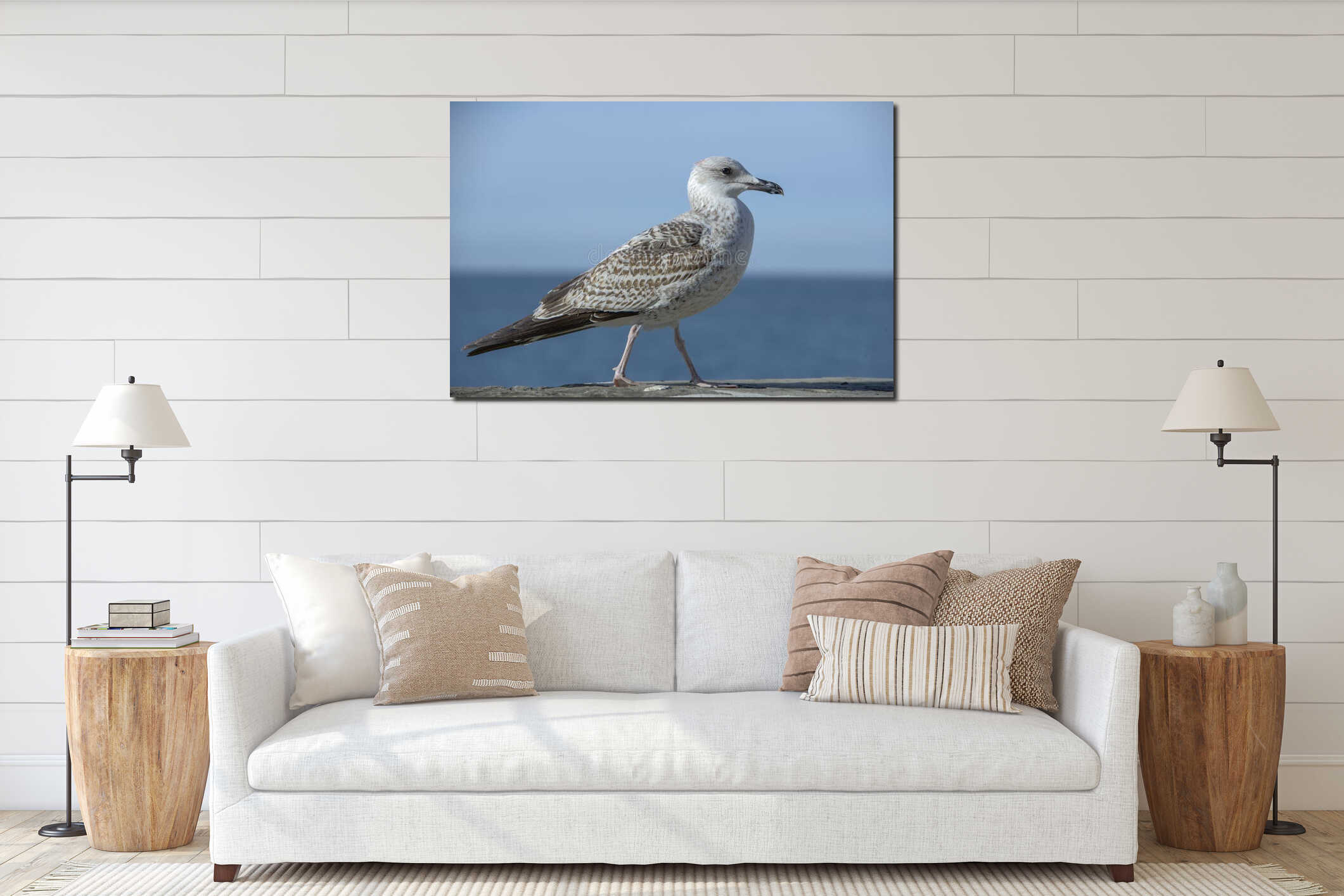 Seagull standing on a wall interior mockup