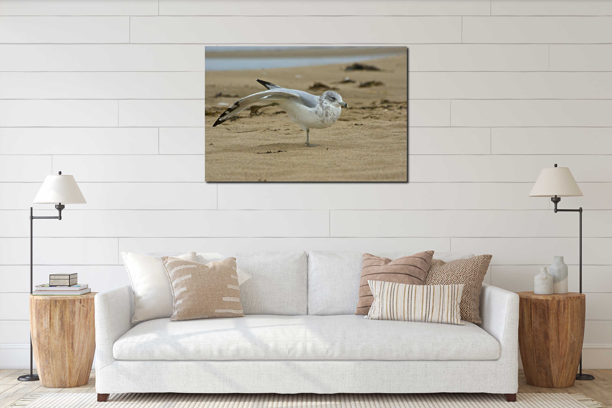 Seagull posing on a beach interior mockup
