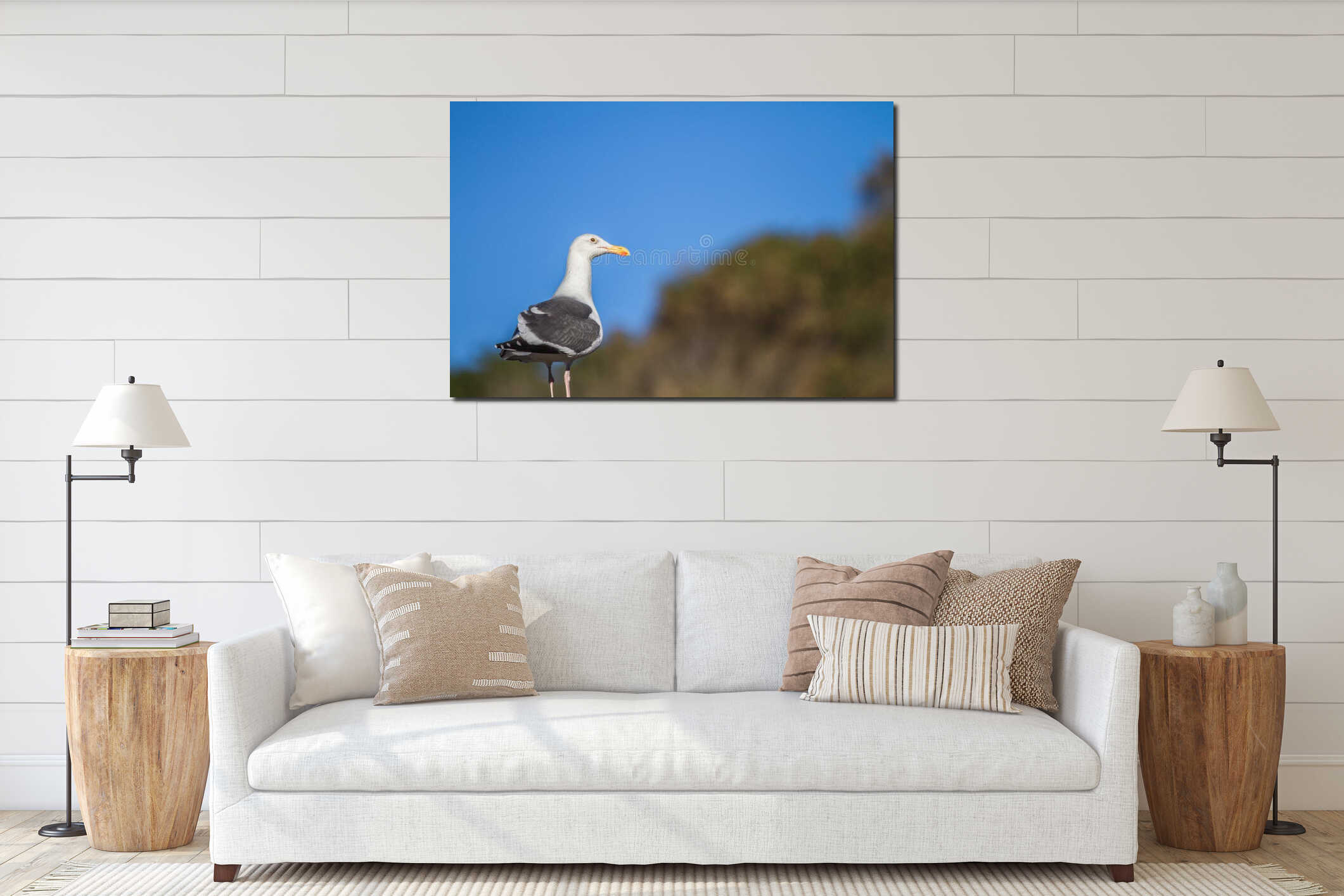 Seagull standing on a wooden post with blue sky background interior mockup
