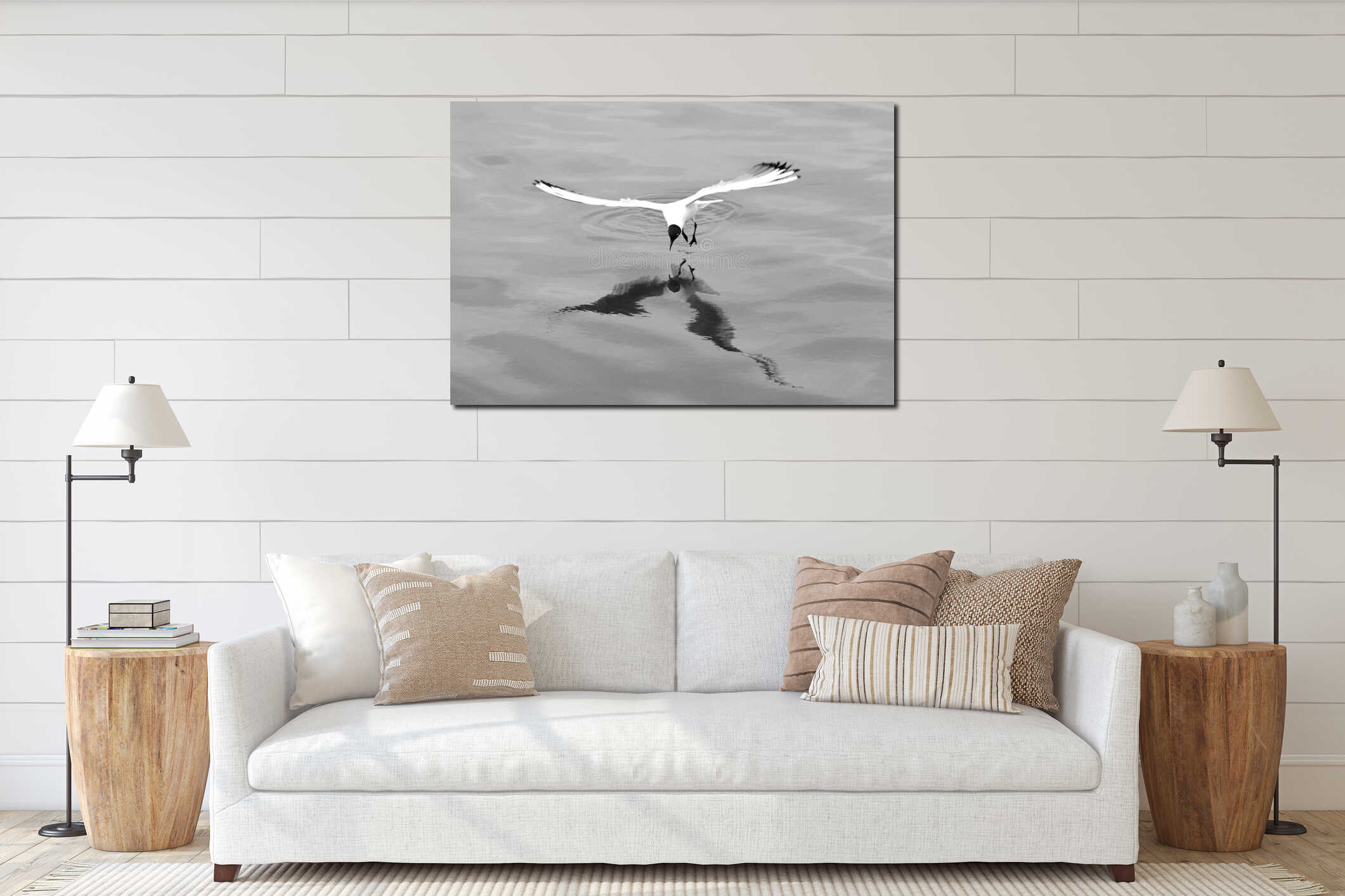 Black-headed gull (Chroicocephalus ridibundus) hovering over surface of water interior mockup
