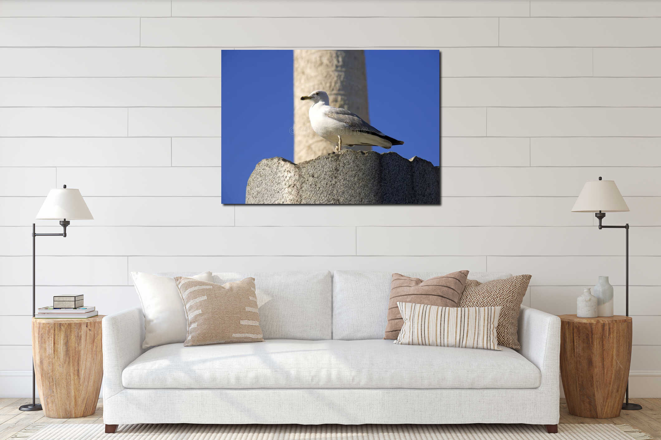 Roman forum rome Italy archaeology ruins seagull trajan's column interior mockup