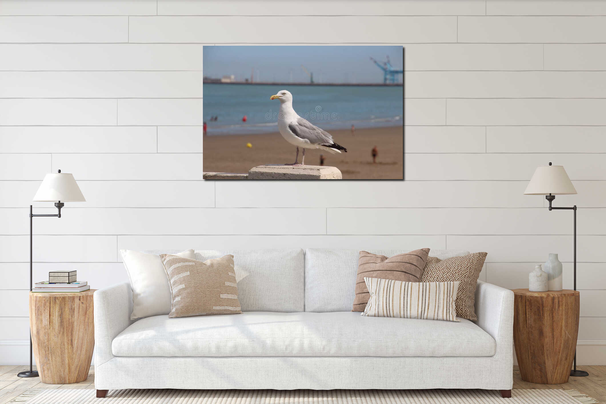 Seagull on the beach in Blankenberge atNorth of Belgium interior mockup