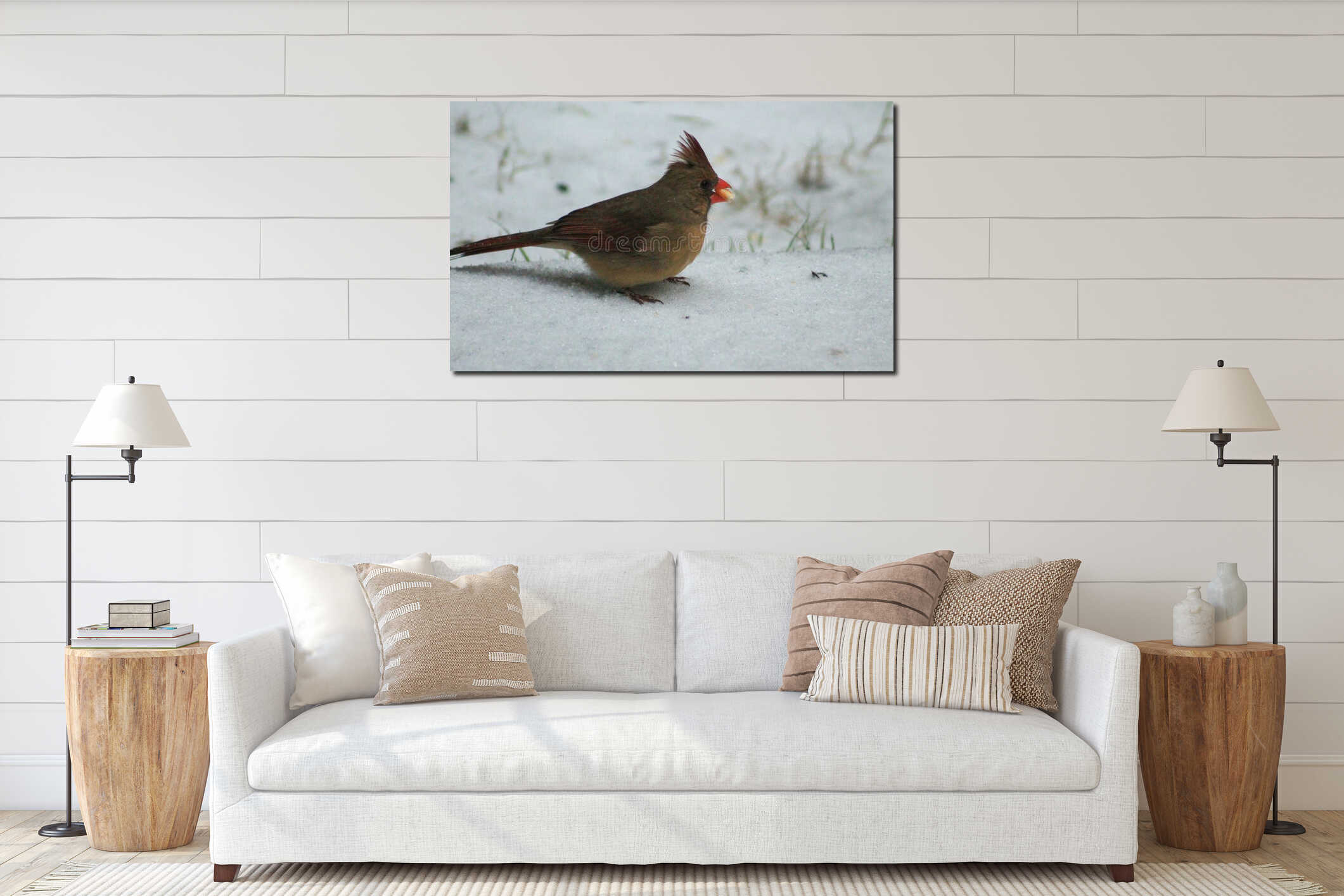 Female Cardinal winter 4 interior mockup