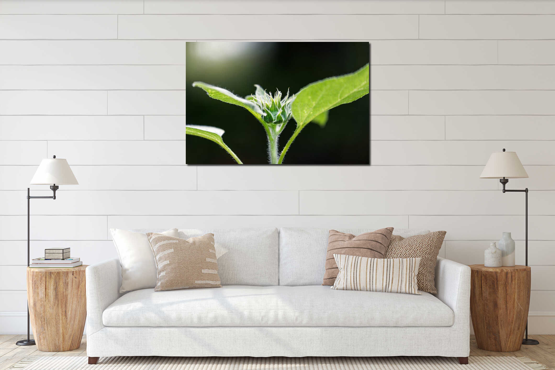 Small young sunflower interior mockup