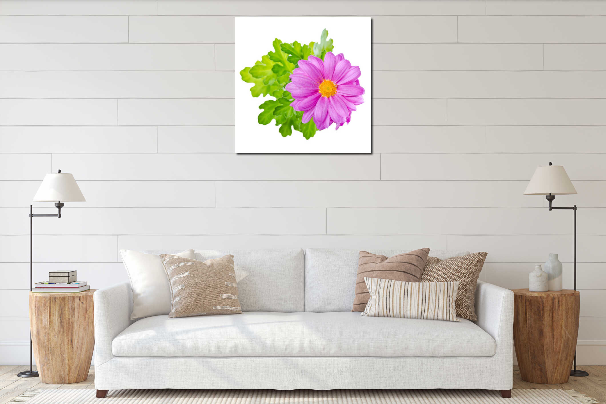 Close up of composition lilac chrysanthemum flower is isolated o interior mockup