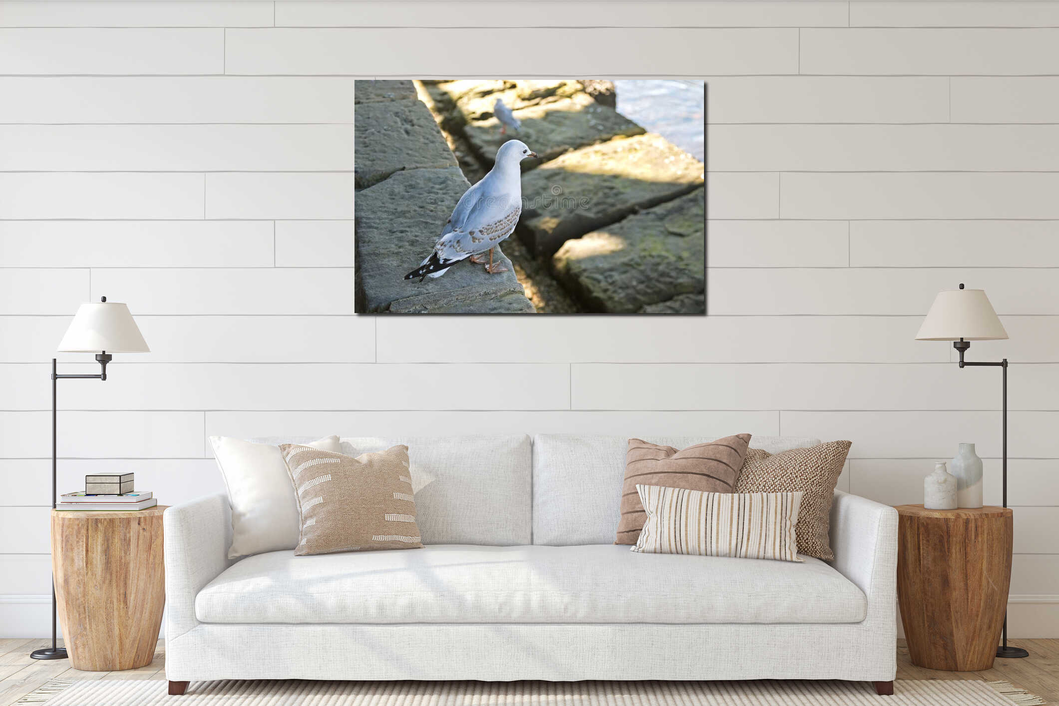 Juvenile Silver gull bird with mottled brown feathers standing n interior mockup